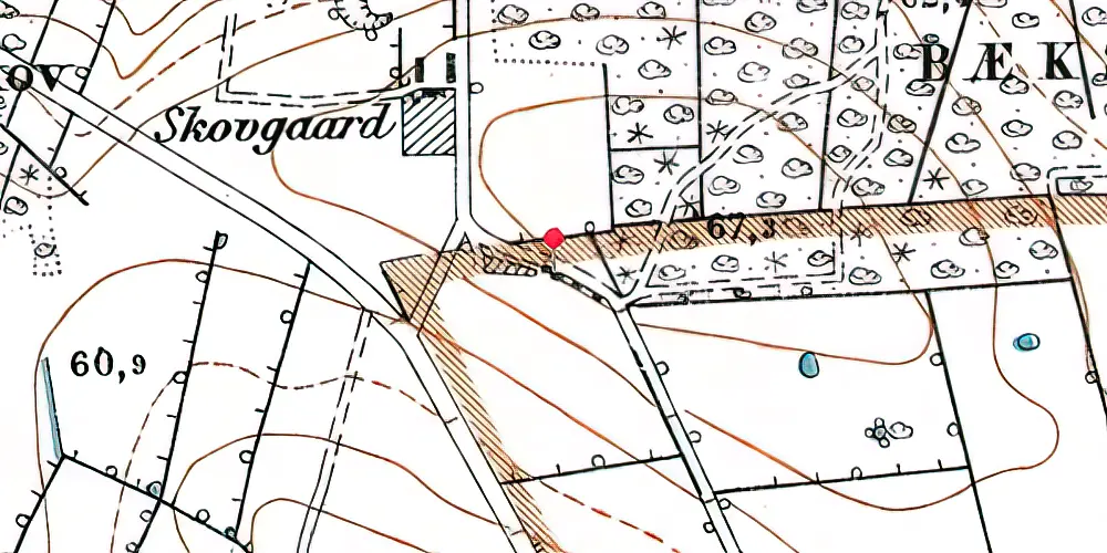 Historisk kort over Bæk Skov Station Historisk kort over Bæk Skov Station