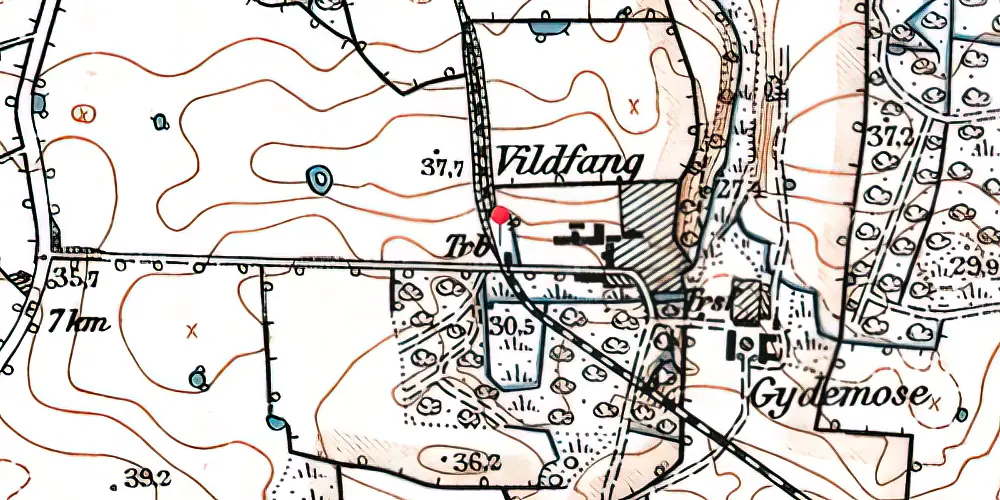Historisk kort over Vildfang Trinbræt med Sidespor Historisk kort over Vildfang Trinbræt med Sidespor