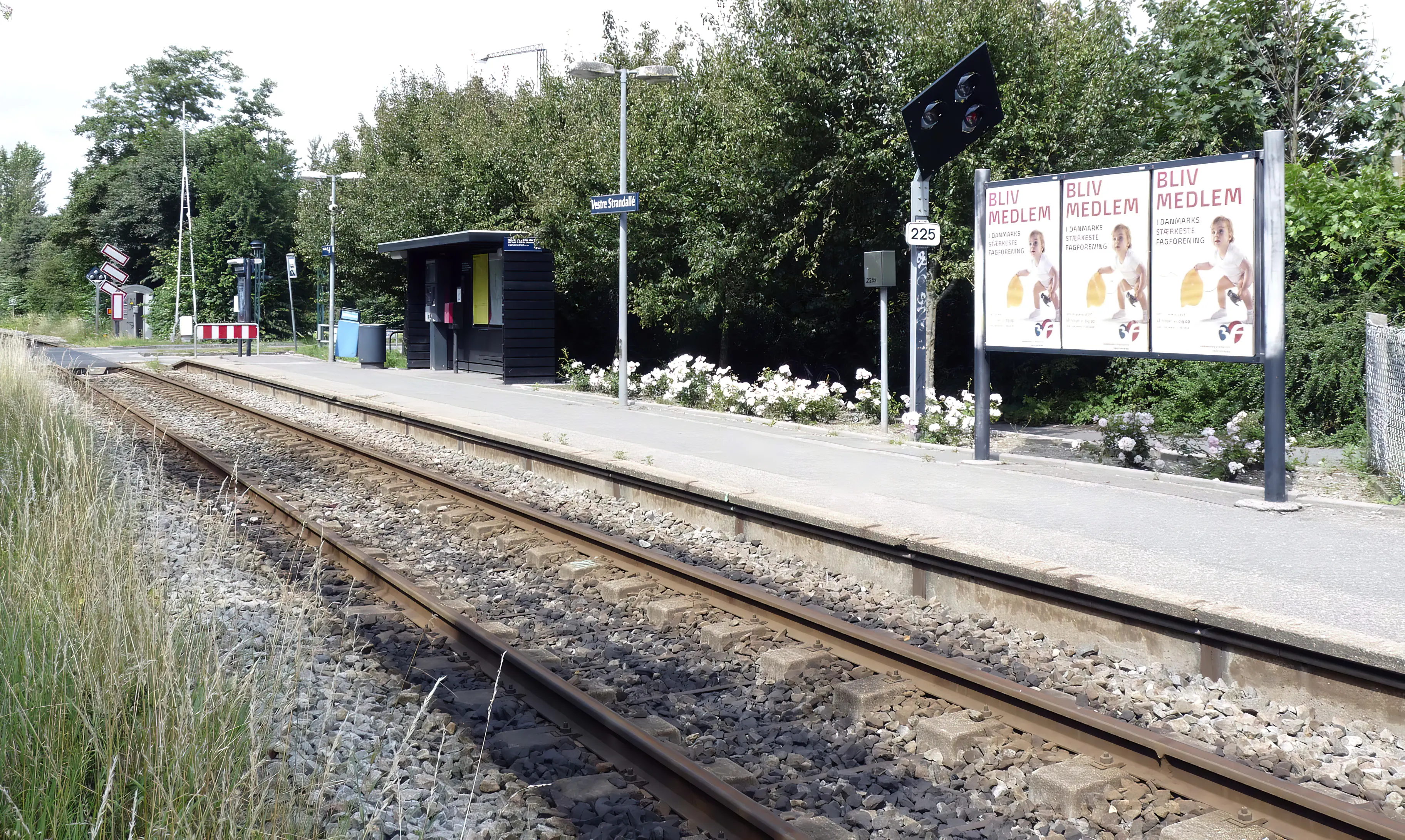 Billede af Vestre Strandallé Trinbræt.