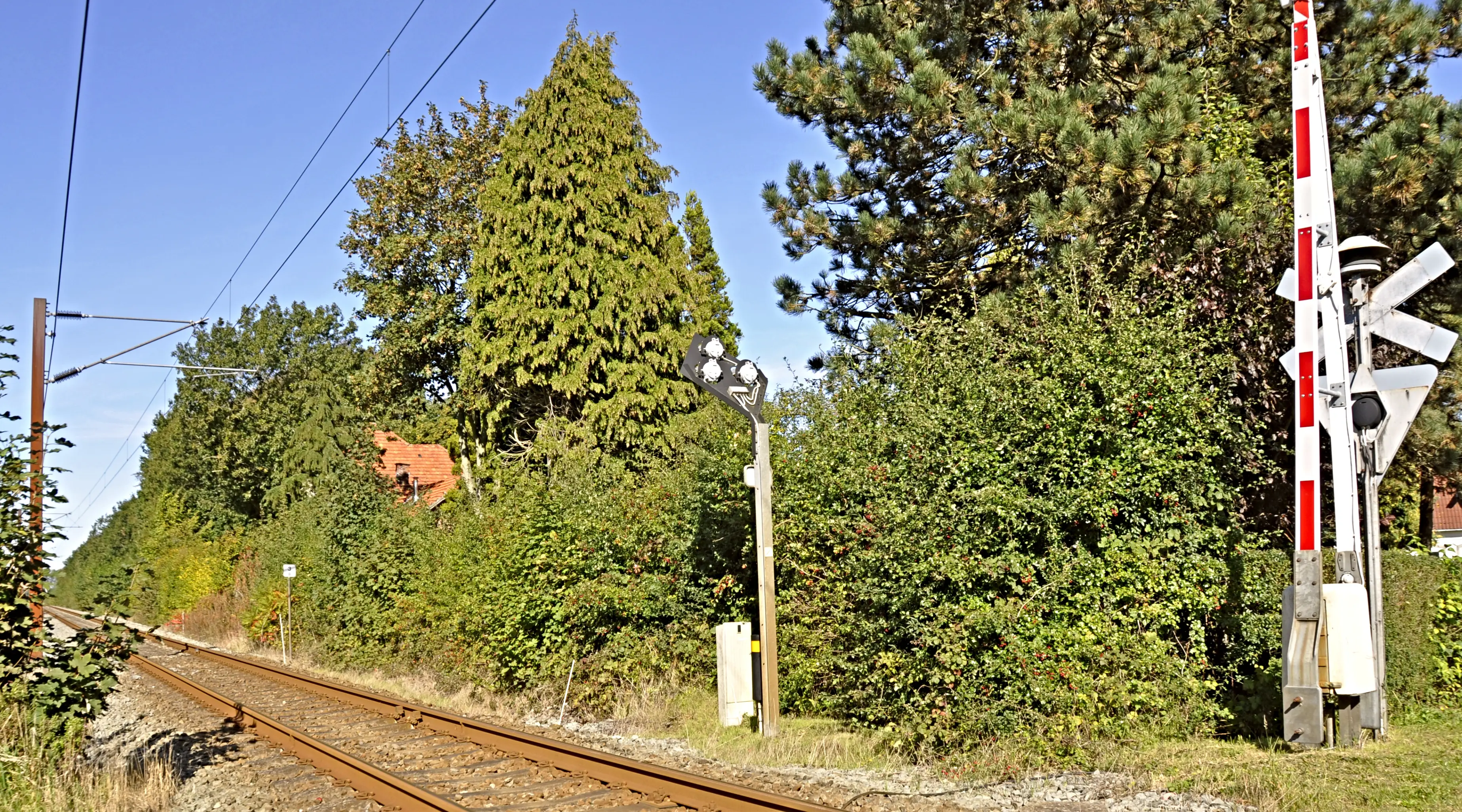 Billede af Ragebøl Station set fra banesiden. Stationen er godt gemt bag træerne. Billede af Ragebøl Station set fra banesiden. Stationen er godt gemt bag træerne.