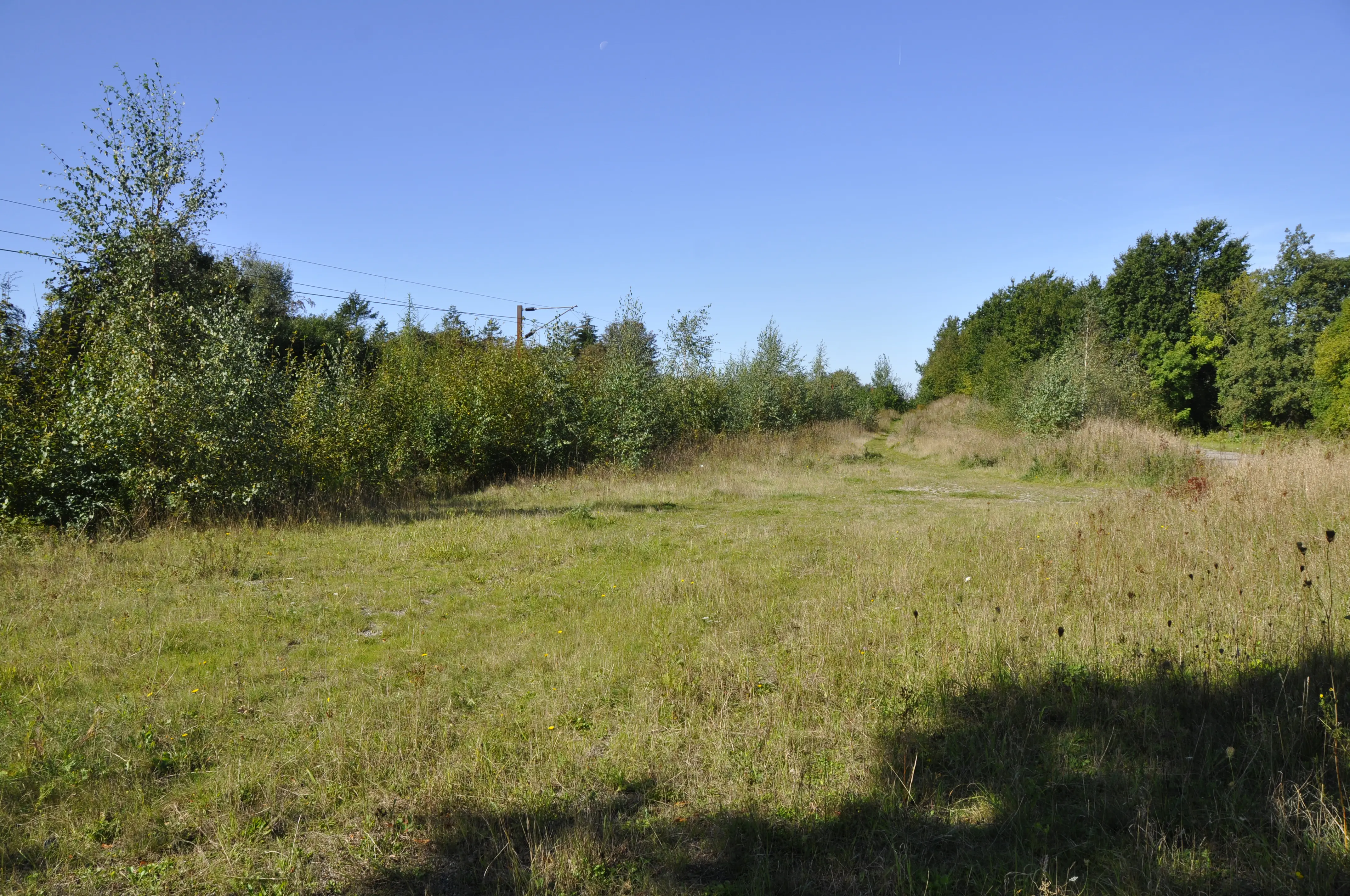 Billede af Vester Sottrup Station - Station er nedrevet, men Vester Sottrup Station har ligget her.