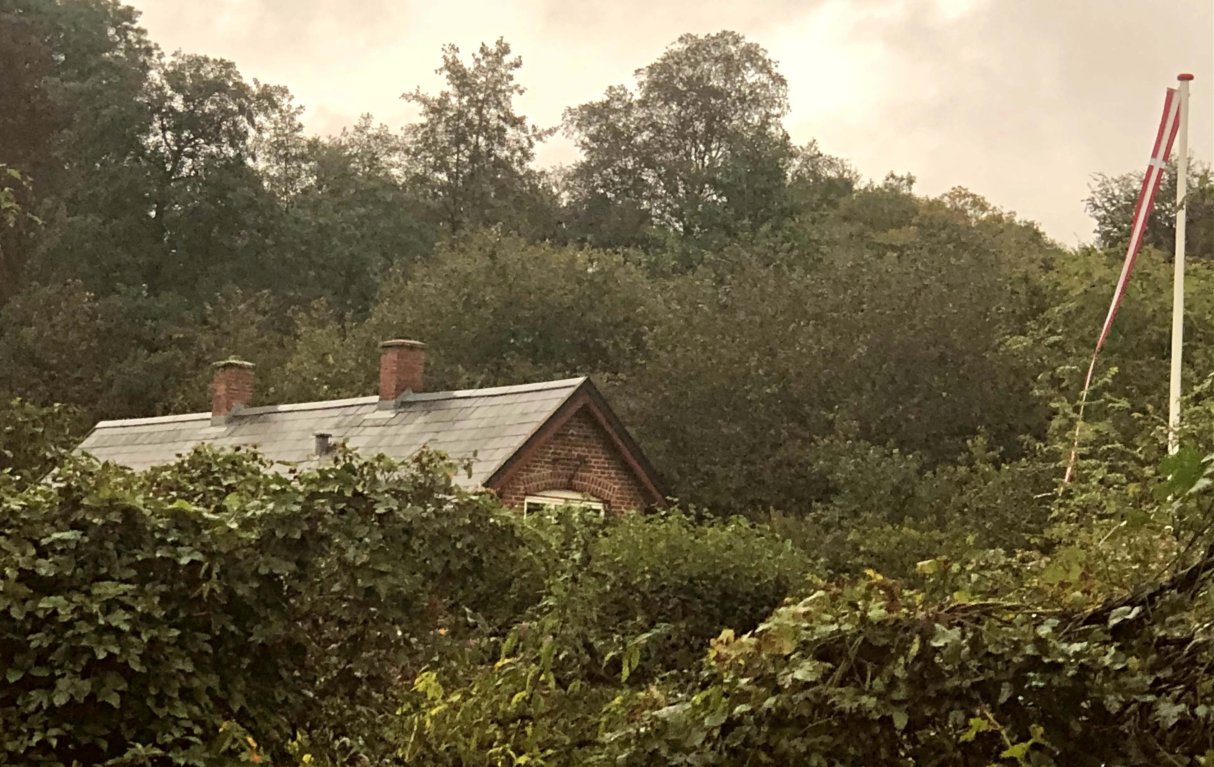 Billede af en godt gemt Lundum Station. Billede af en godt gemt Lundum Station.