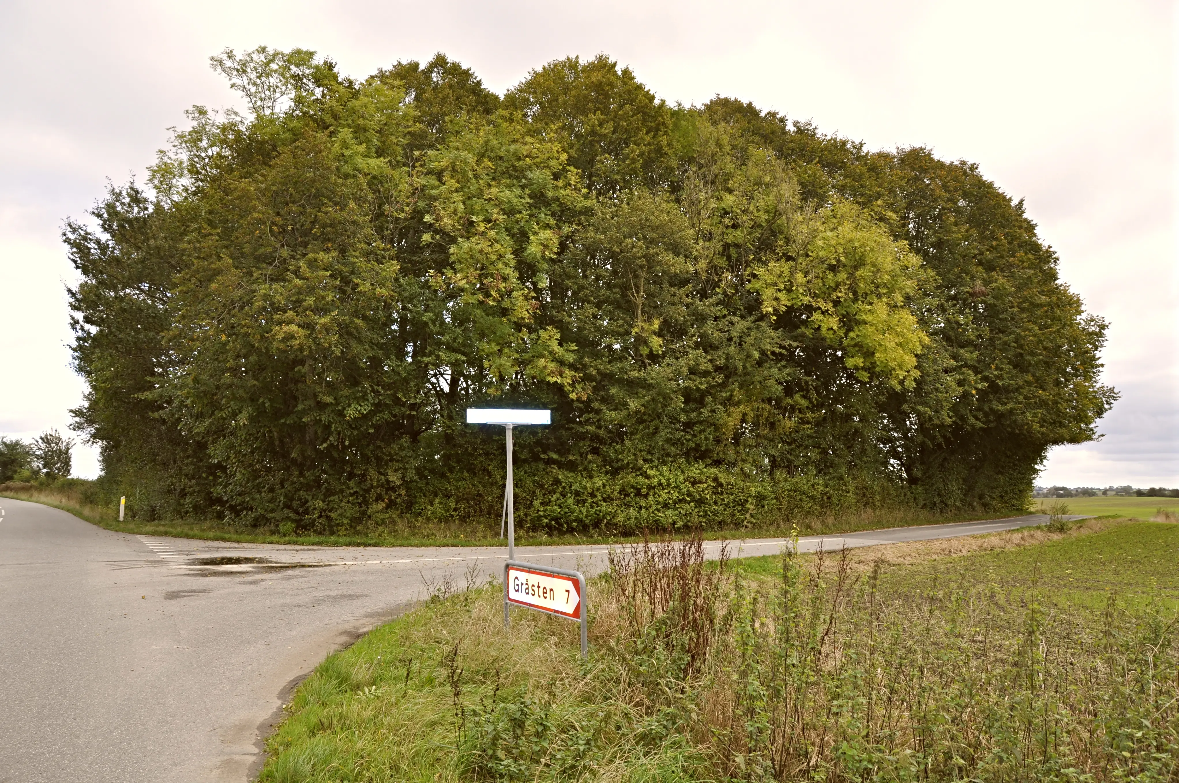 Billede af Kiding Station, som er nedrevet - i dag fylder træer og buske hele grunden op.