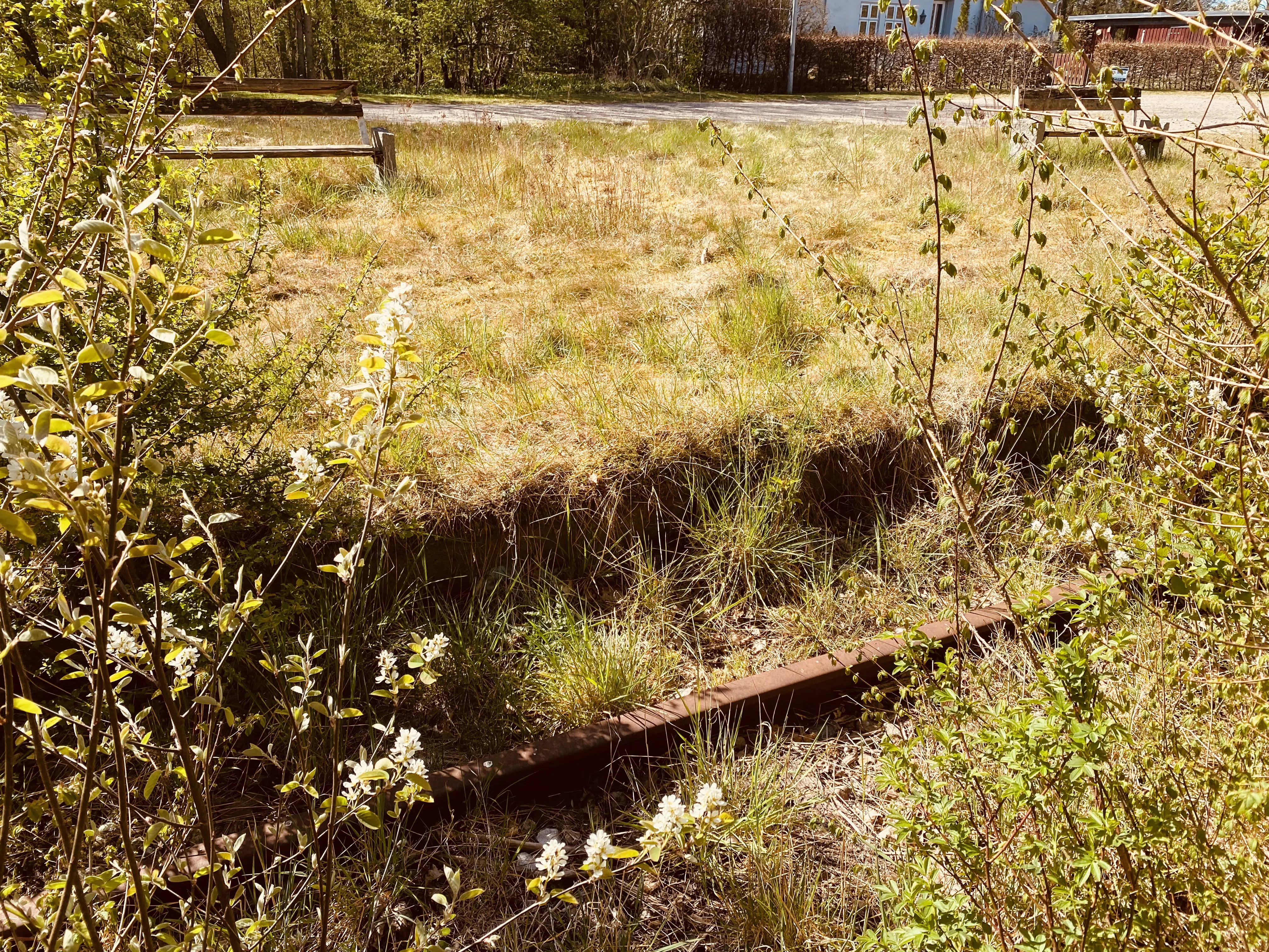 Billede af Jejsing Trinbræt med Sidespor, som er nedrevet, men den har ligget her. Billede af Jejsing Trinbræt med Sidespor, som er nedrevet, men den har ligget her.