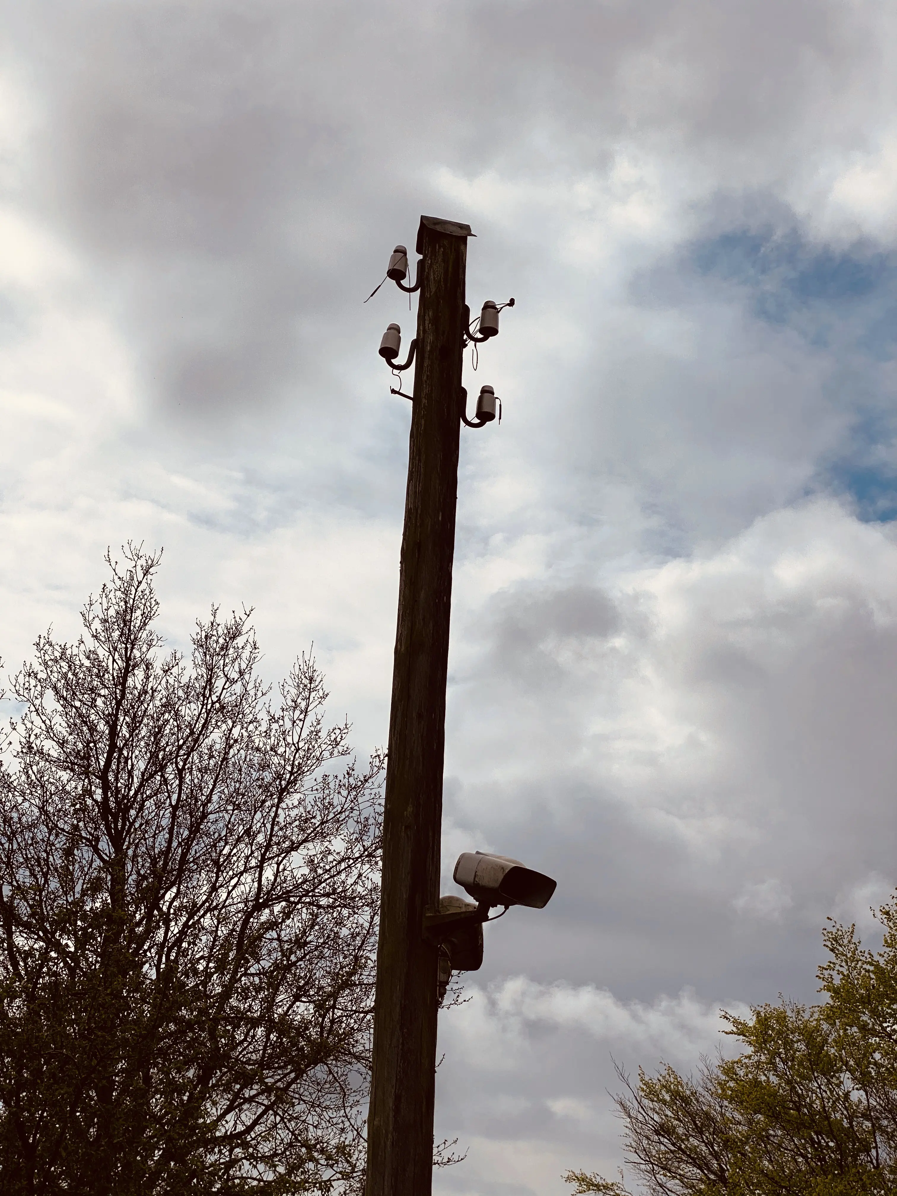 Billede af den eneste rest fra Rejsby Station, som er en enkelt telefonpæl fra strækningstelefonen.