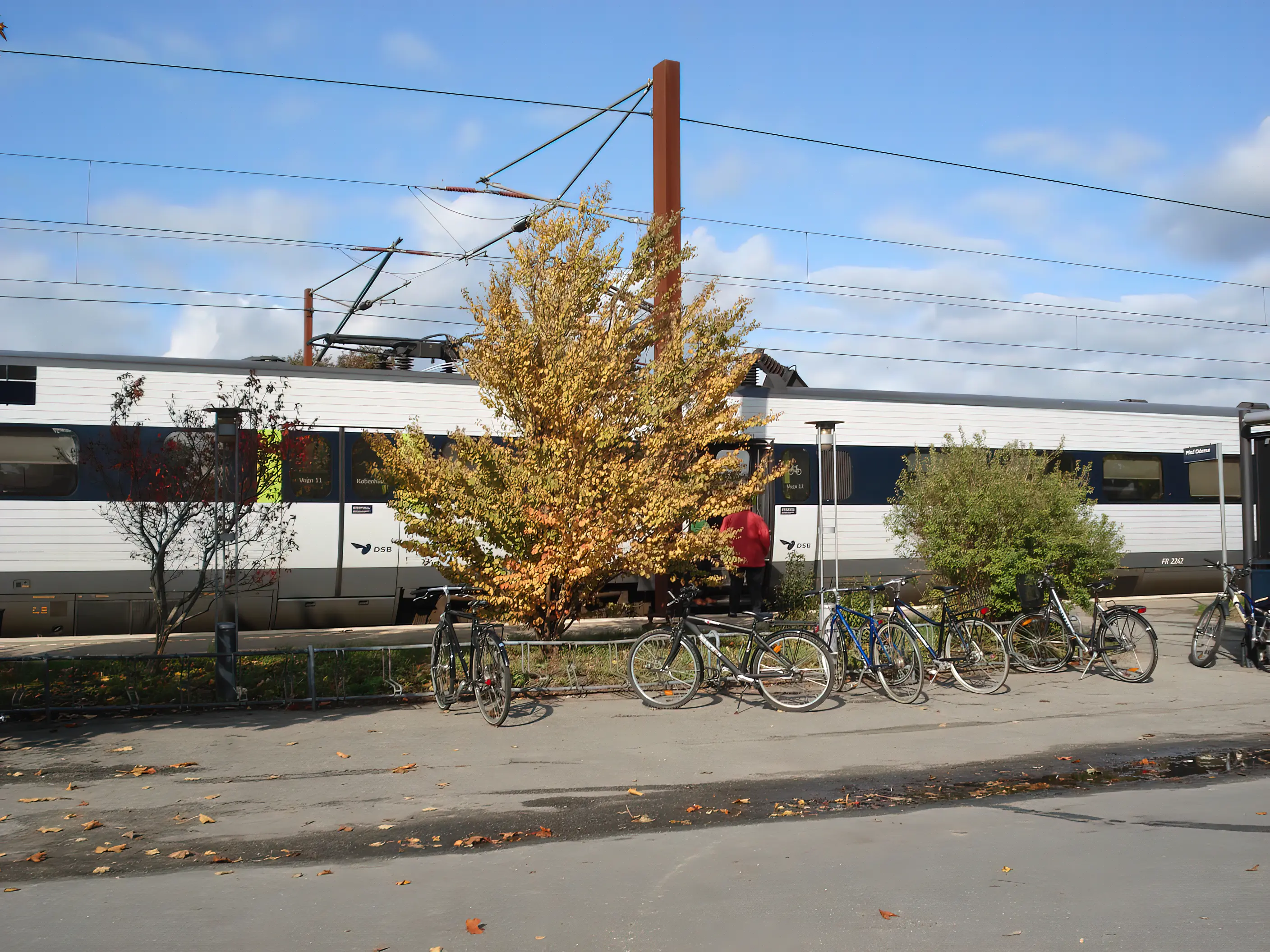 Billede af Holmstrup Trinbræt. Billede af Holmstrup Trinbræt.