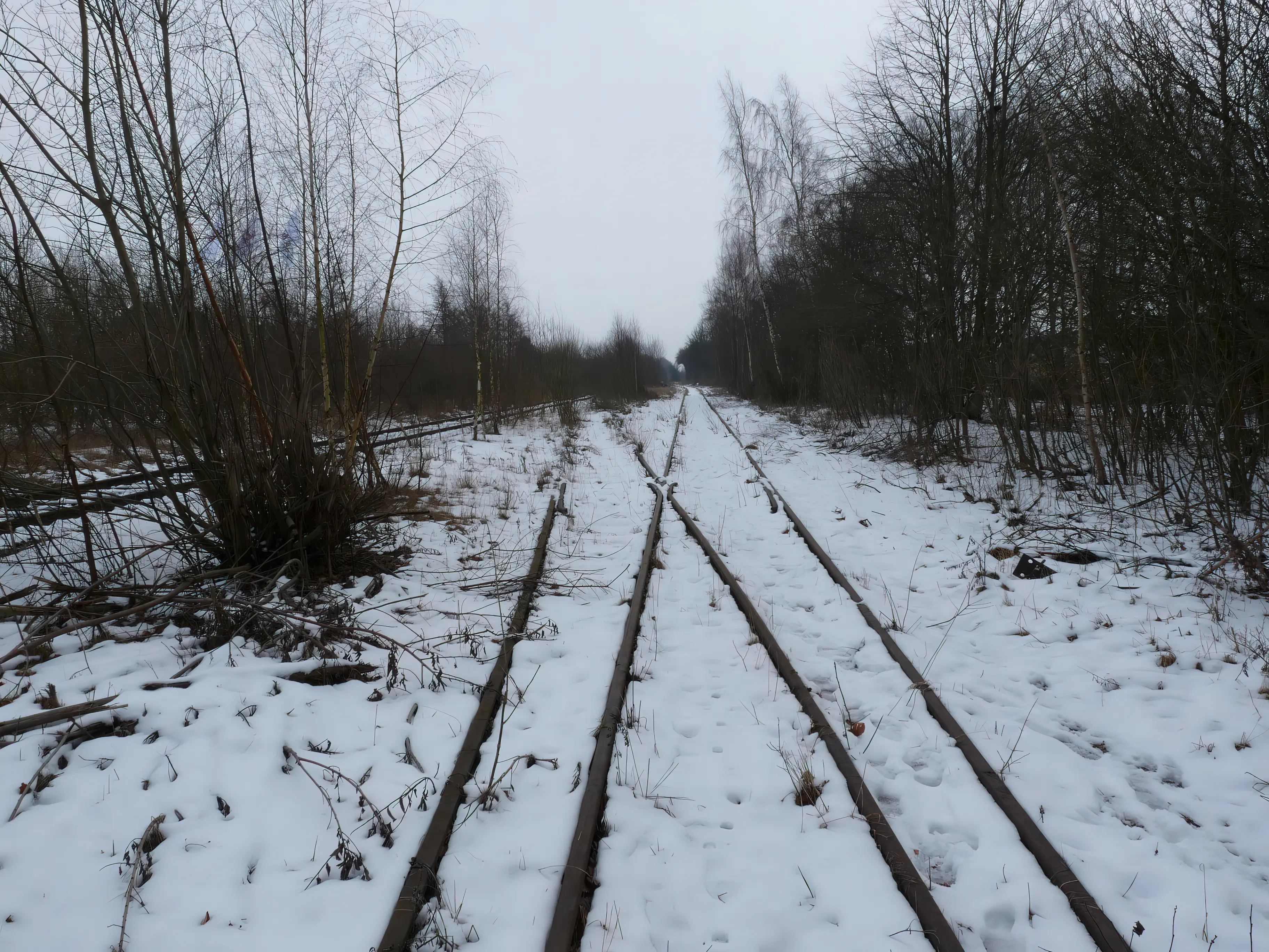 Billede af Dalmose Stations ind og udkørsel.