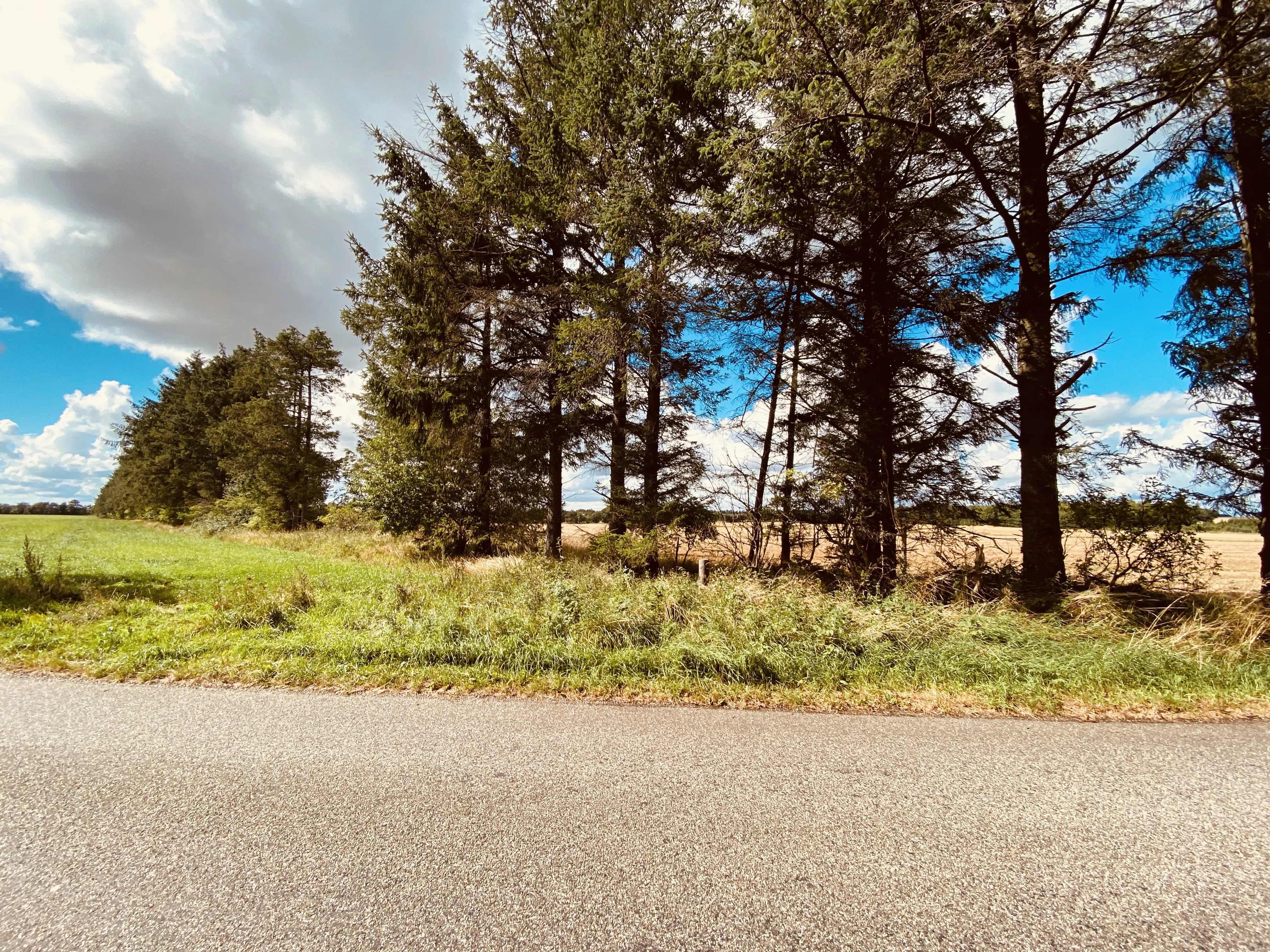 Billede af Østergårde Holdeplads med sidespor - Holdeplads med sidespor er nedrevet, men Østergårde Holdeplads med sidespor har ligget her. Billede af Østergårde Holdeplads med sidespor - Holdeplads med sidespor er nedrevet, men Østergårde Holdeplads med sidespor har ligget her.