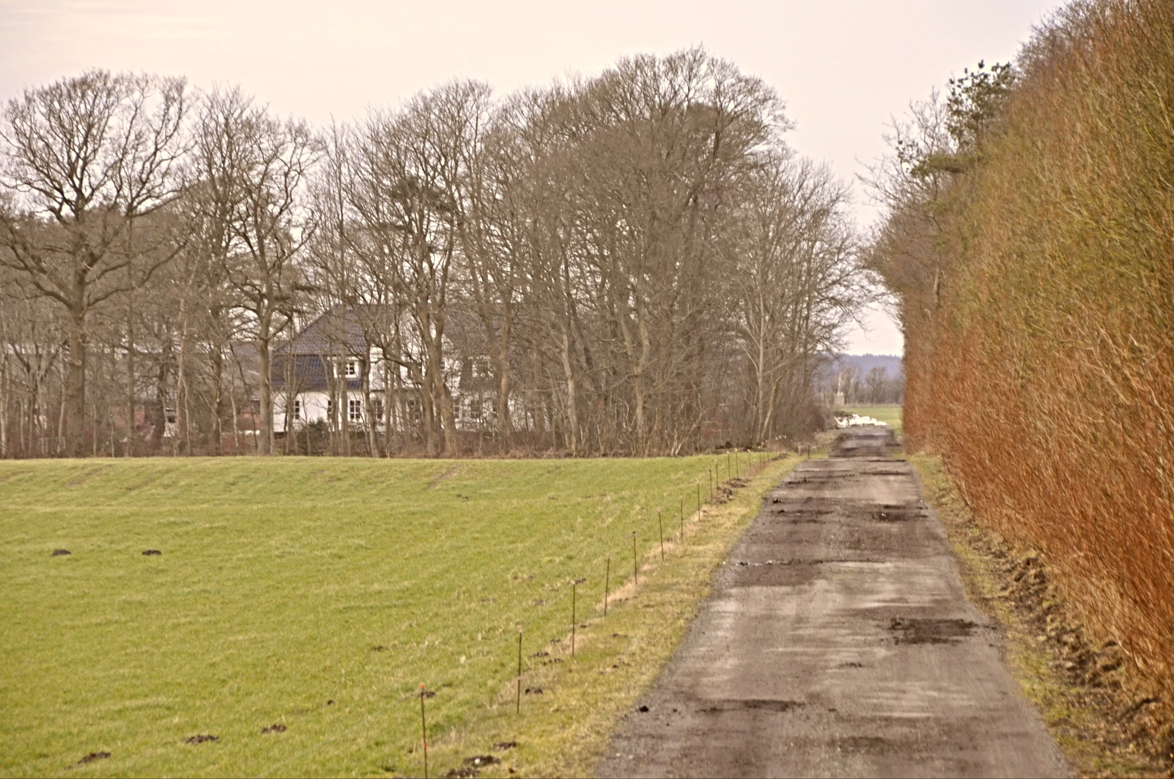 Billede af Blankenhof Holdeplads med sidespor - Holdepladsen er nedrevet, men Blankenhof Holdeplads med sidespor har ligget her til højre for gården.