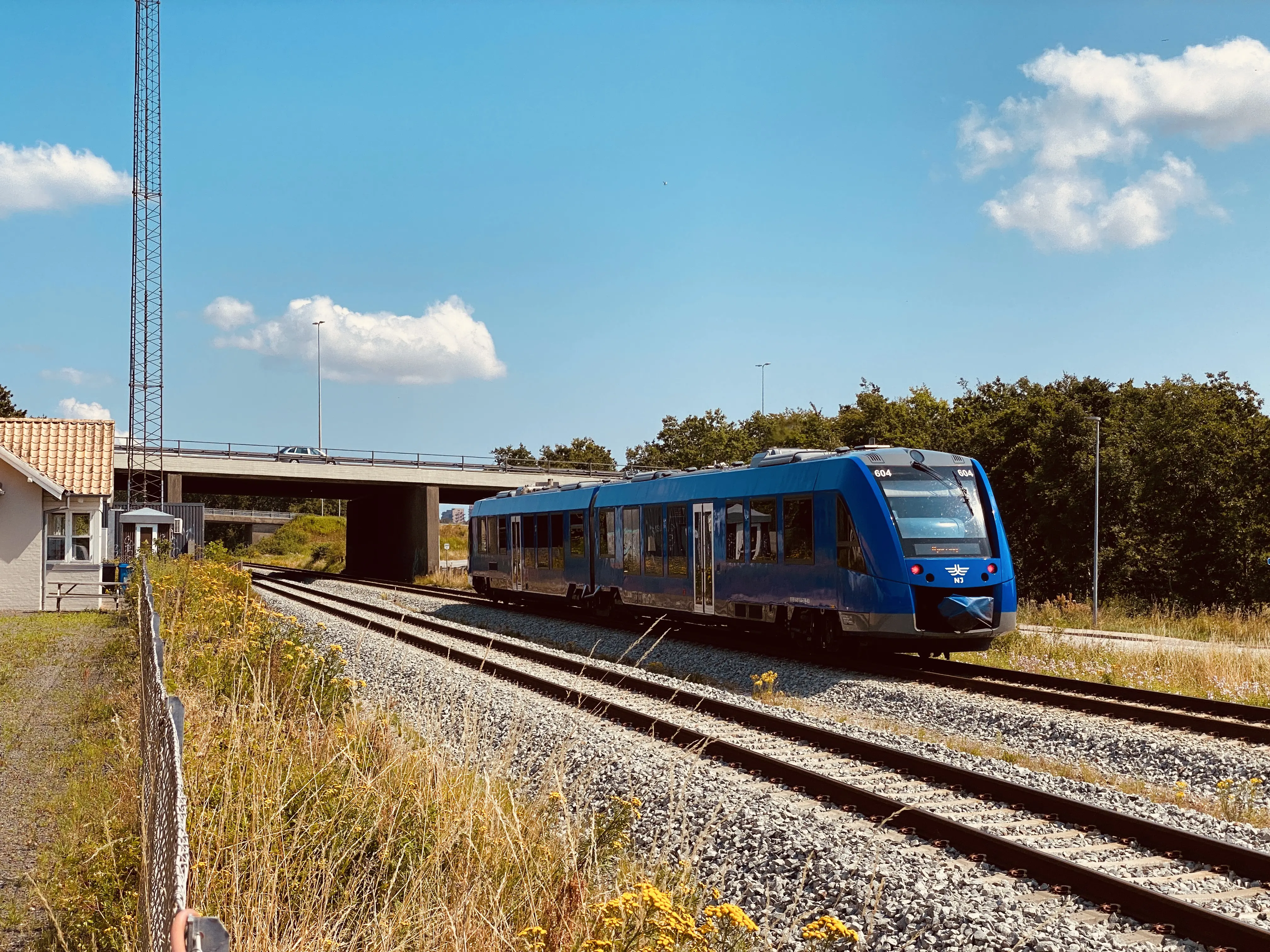 Billede af tog ud for Skalborg Station.