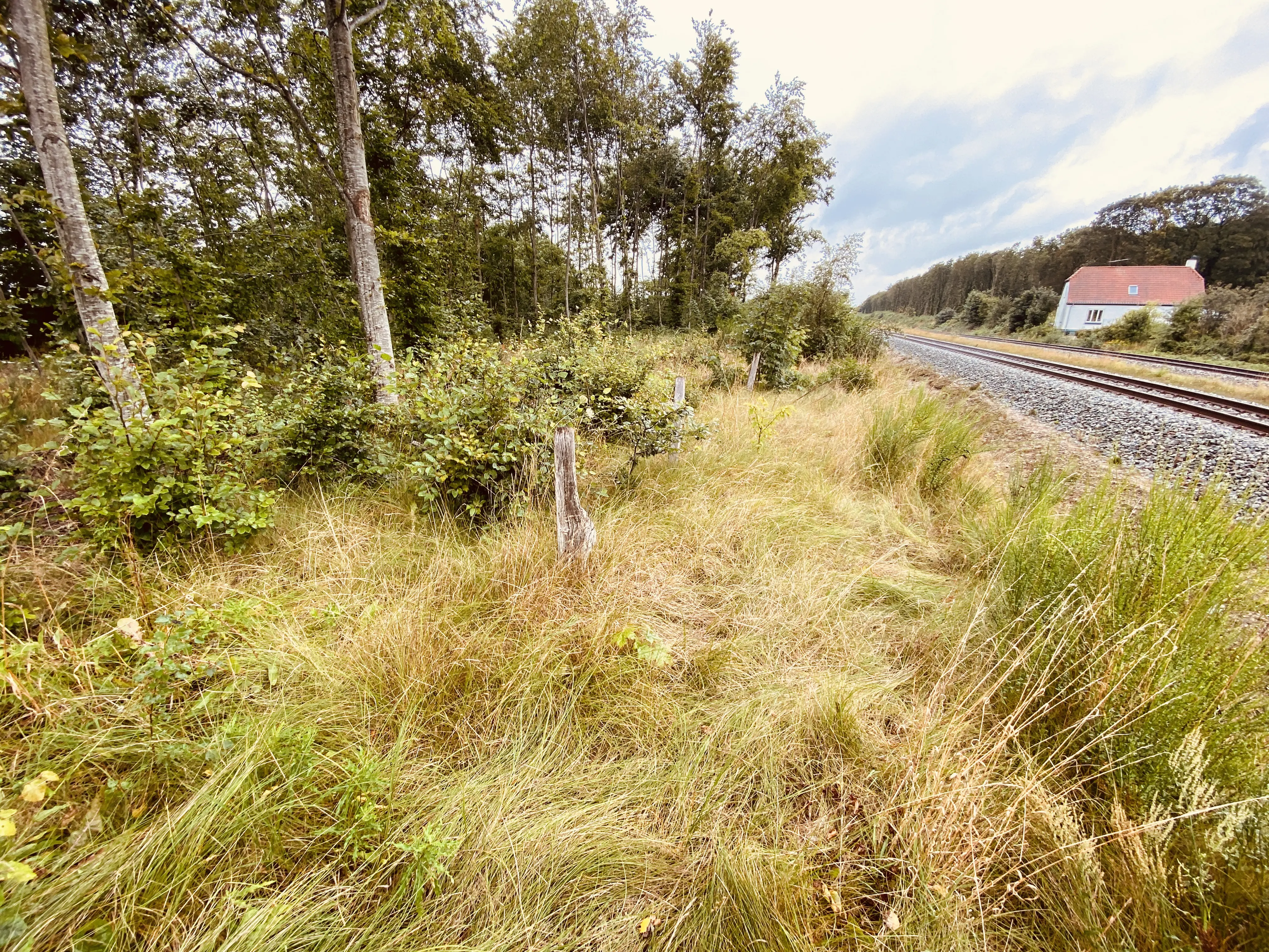 Billede af Sønder-Onsild Station - Station er nedrevet, men Sønder-Onsild Station har ligget her.