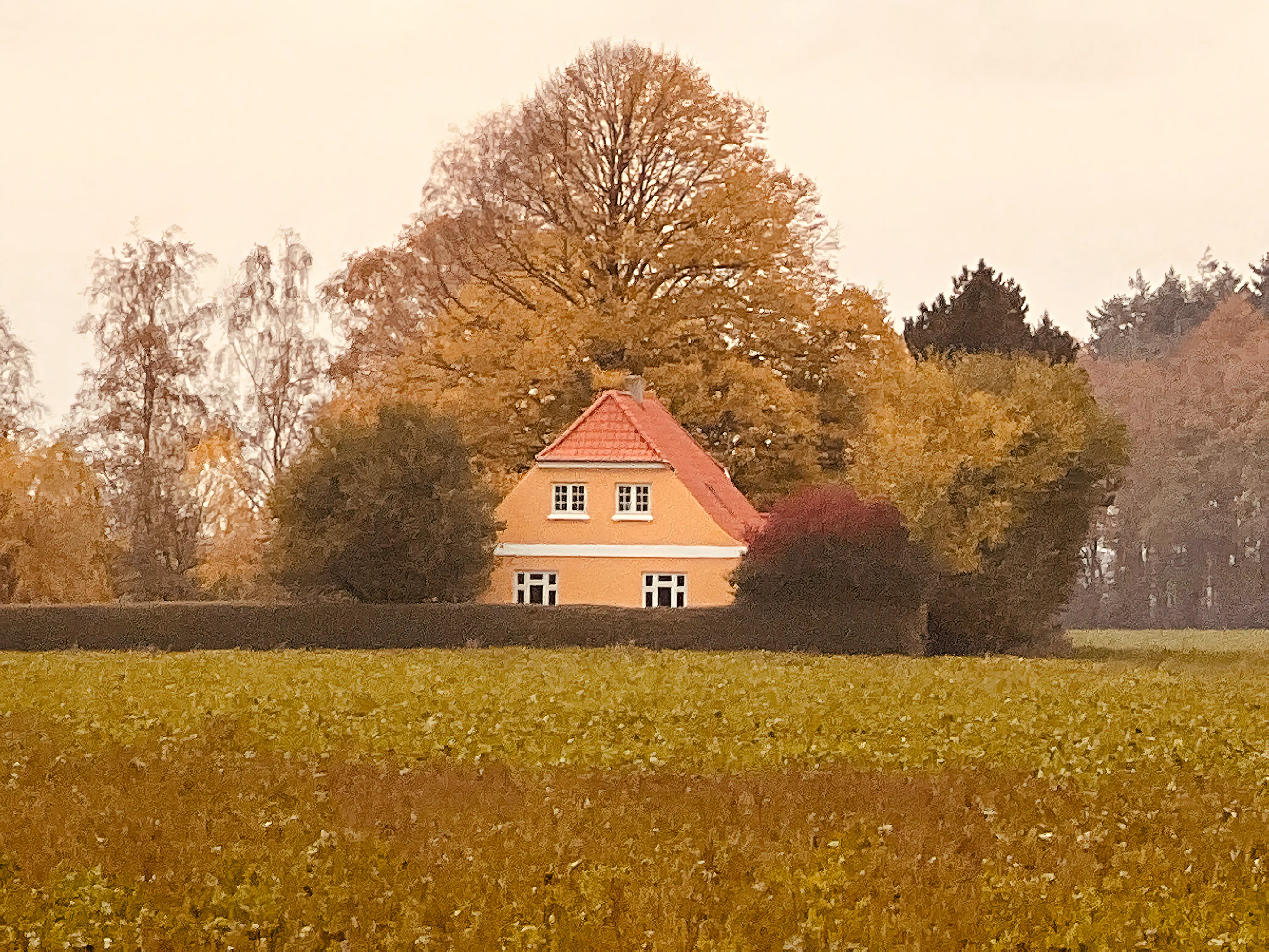 Billede af Havløkke Station.