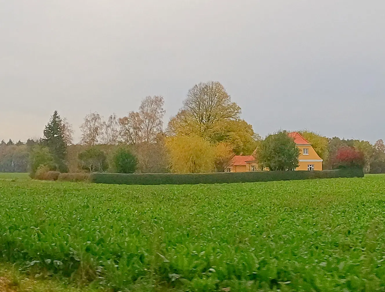 Billede af Havløkke Station.