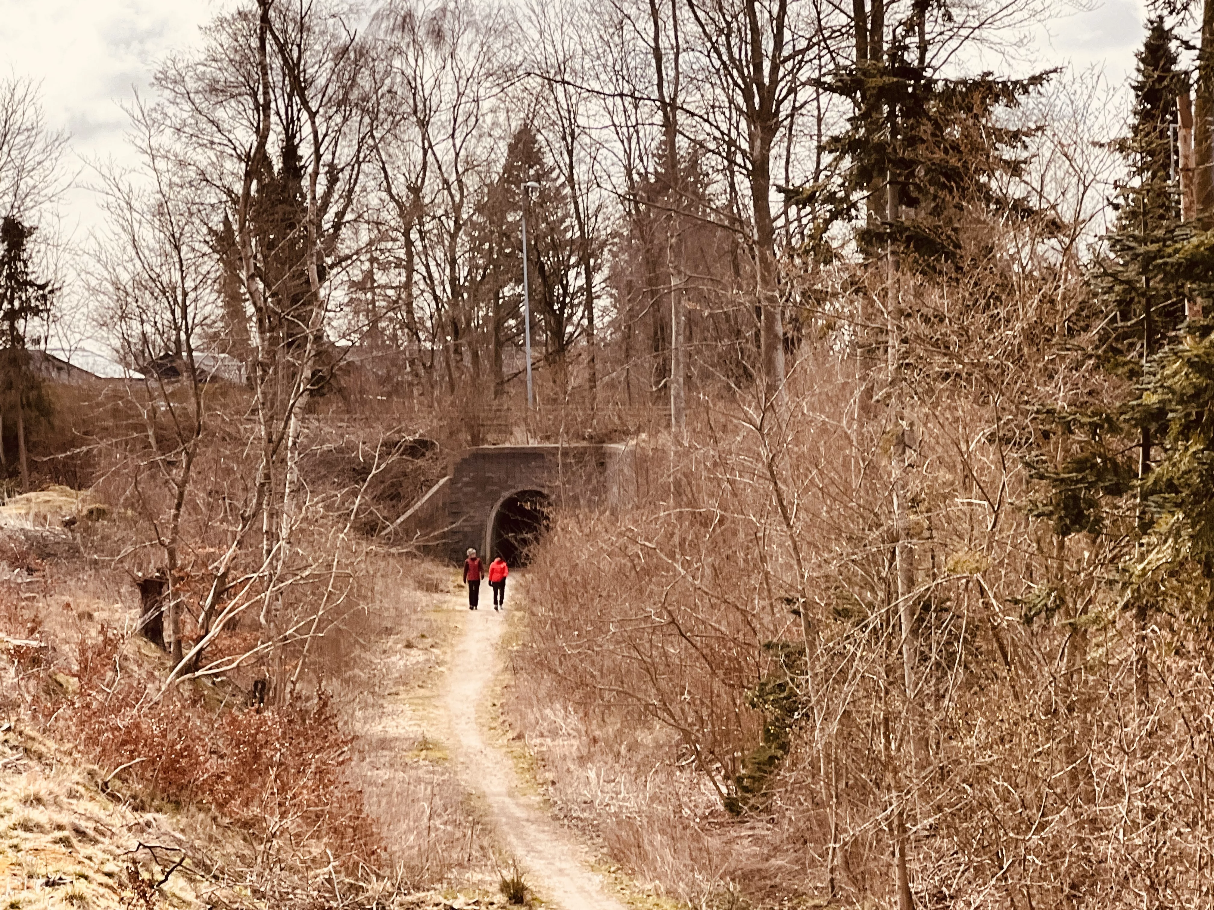 Billede af Hammel Stations ind og udkørsel.