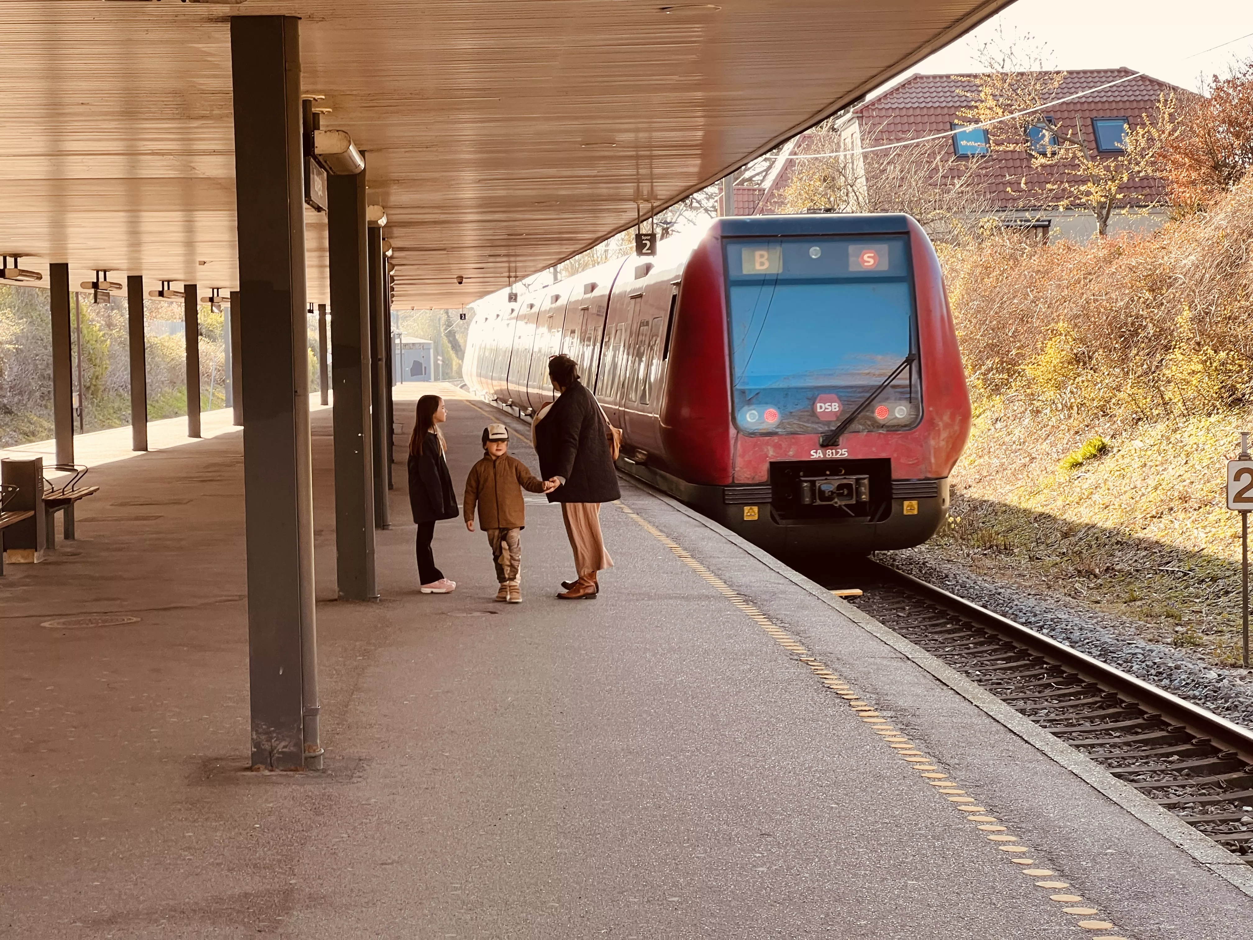 Billede af tog ud for Vangede S-togstrinbræt. Billede af tog ud for Vangede S-togstrinbræt.