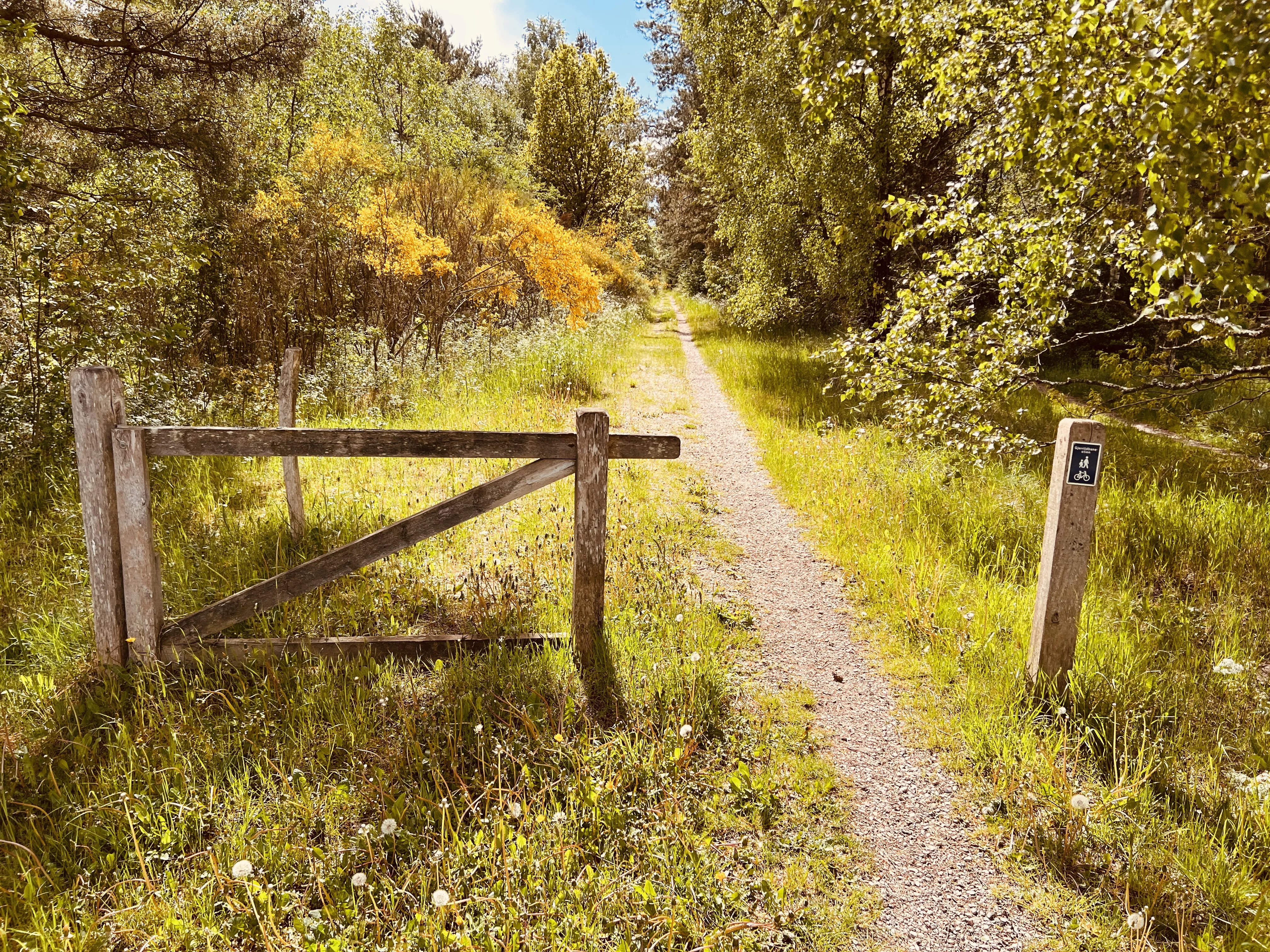 Billede af Mogenstrup Trinbræt - Trinbræt er nedrevet, men Mogenstrup Trinbræt har ligget her.