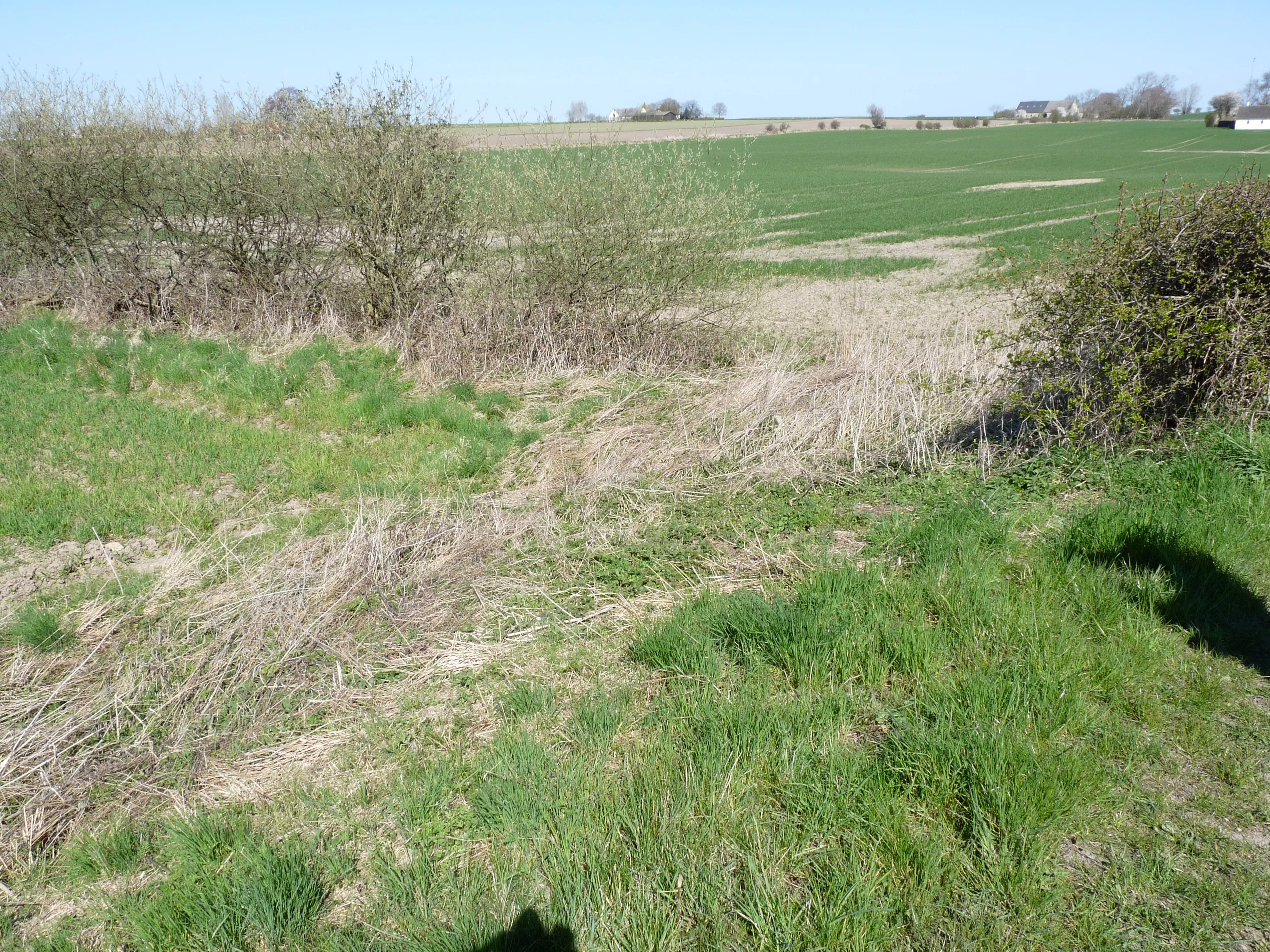 Billede af Tårup Trinbræt med Sidespor - Trinbræt med Sidespor er nedrevet, men Tårup Trinbræt med Sidespor har ligget her. Billede af Tårup Trinbræt med Sidespor - Trinbræt med Sidespor er nedrevet, men Tårup Trinbræt med Sidespor har ligget her.