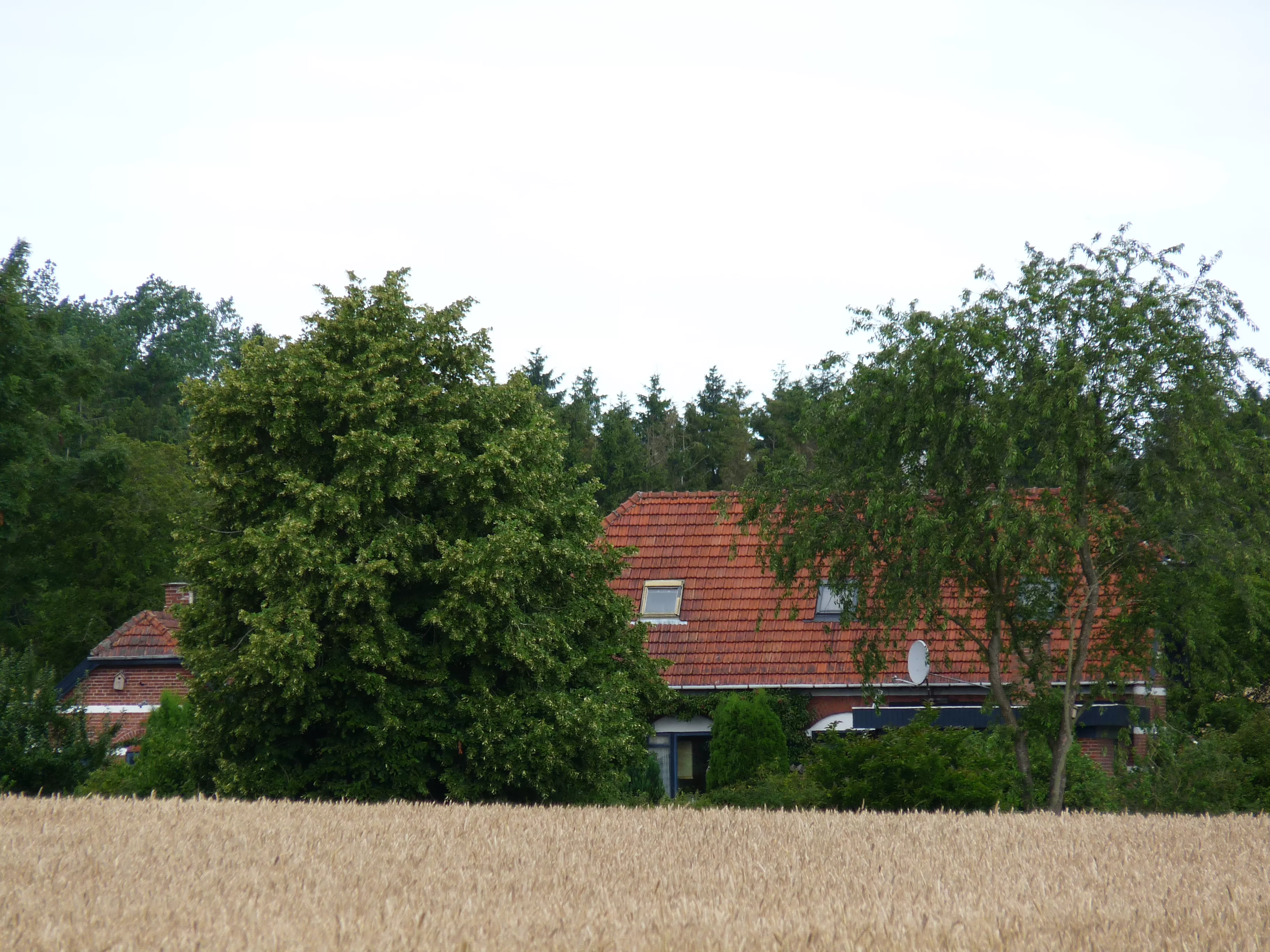 Billede af Ståby Station.