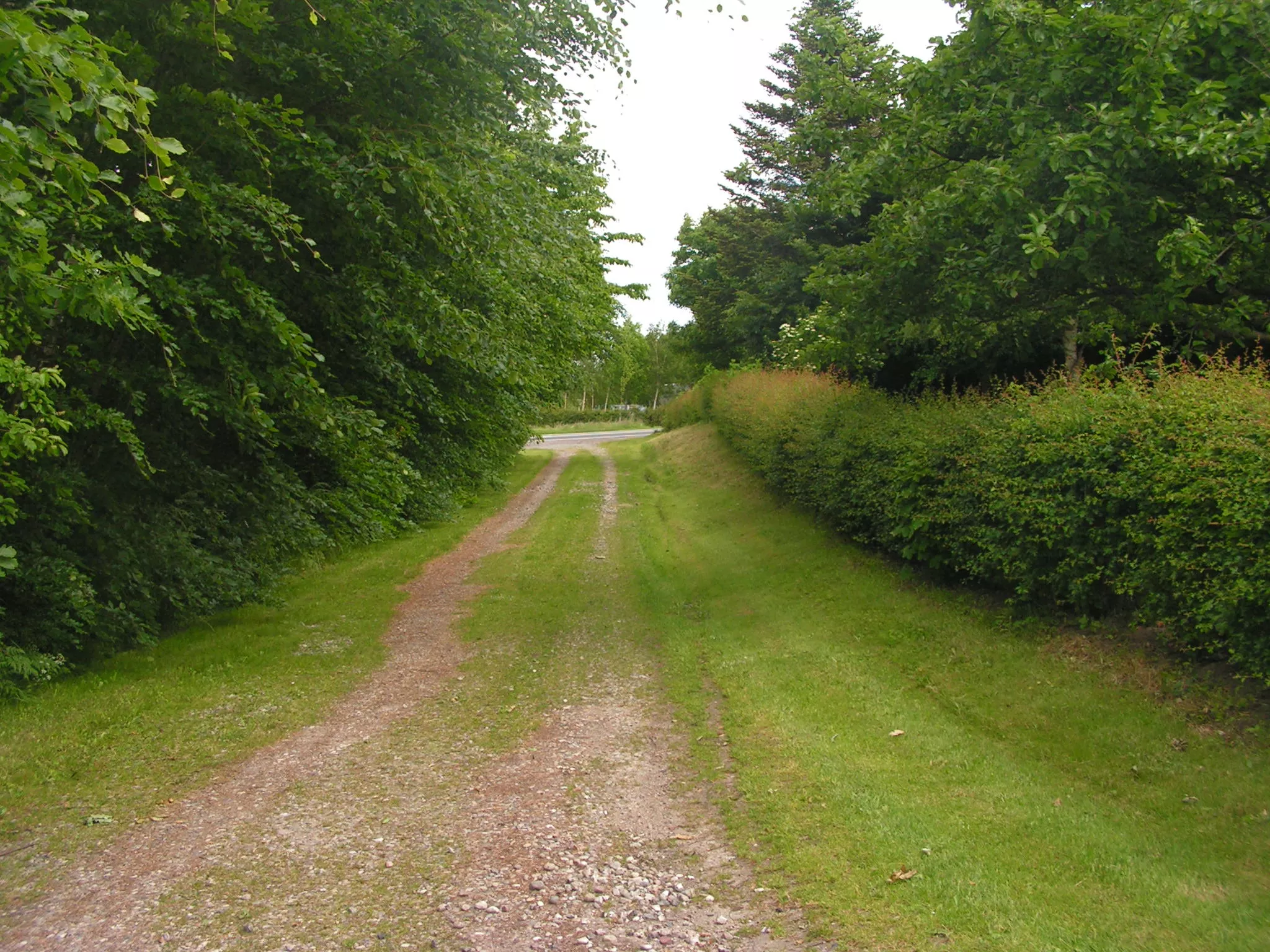 Billede af Ernebjerg Holdeplads’ ind og udkørsel. Billede af Ernebjerg Holdeplads’ ind og udkørsel.