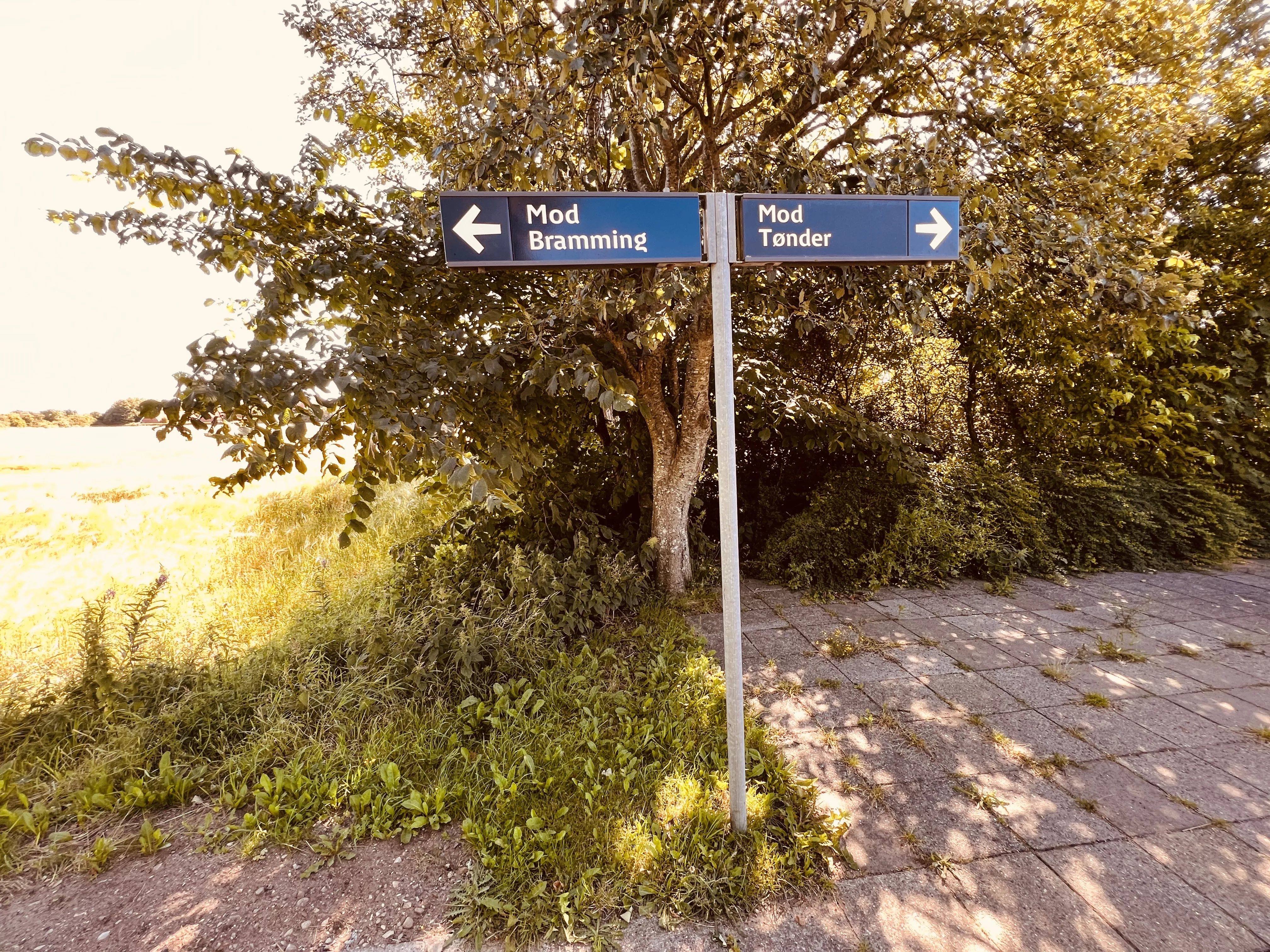 Billede af Sejstrup Trinbræt. Billede af Sejstrup Trinbræt.