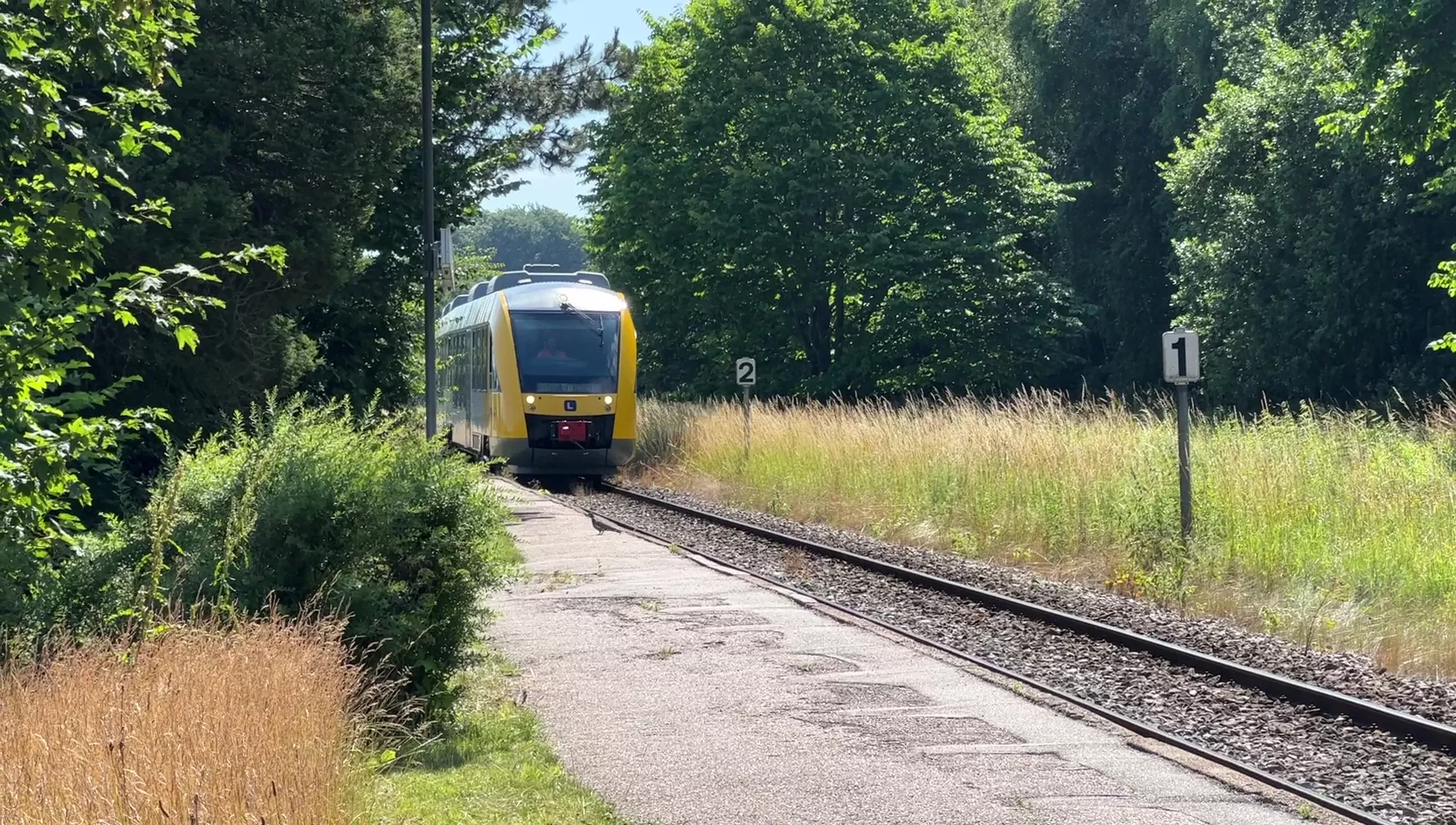 Billede af tog ud for Saltrup Trinbræt. Billede af tog ud for Saltrup Trinbræt.