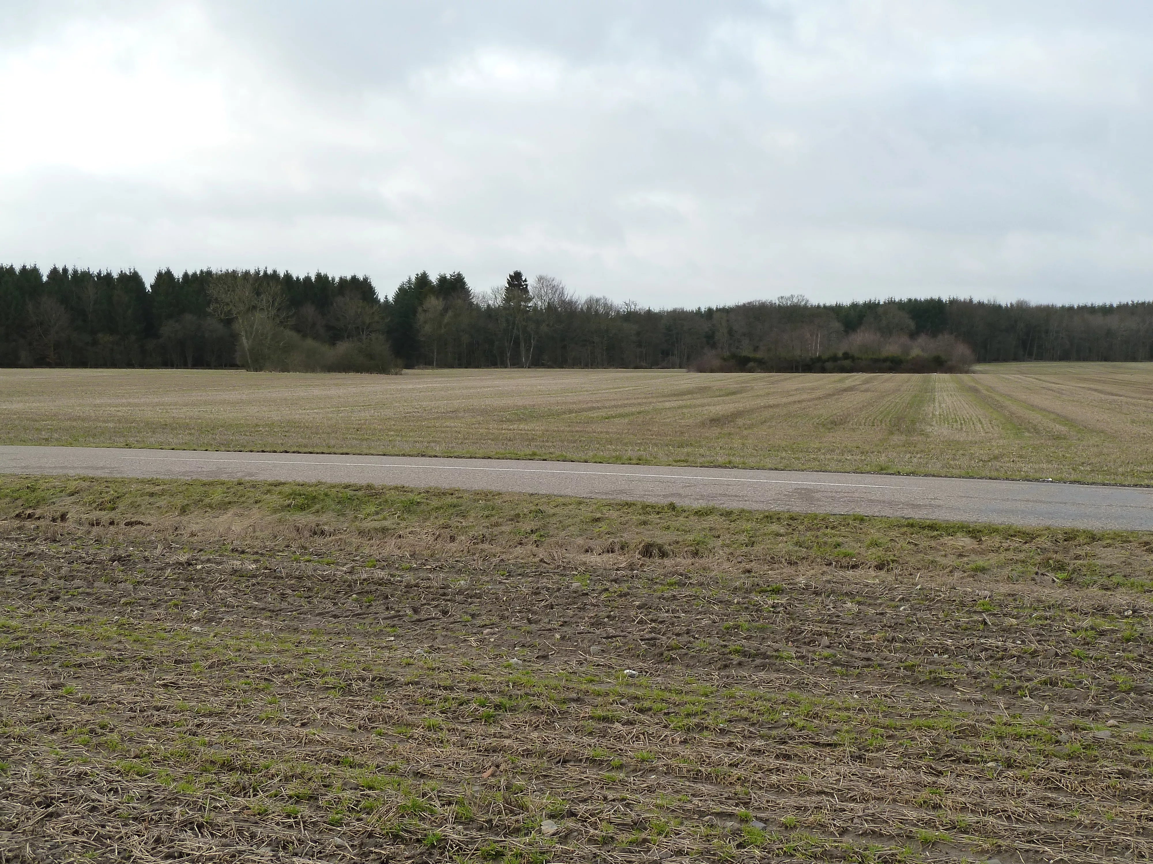 Billede af Gørslev Vænge Trinbræt - Trinbræt er nedrevet, men Gørslev Vænge Trinbræt har ligget her.