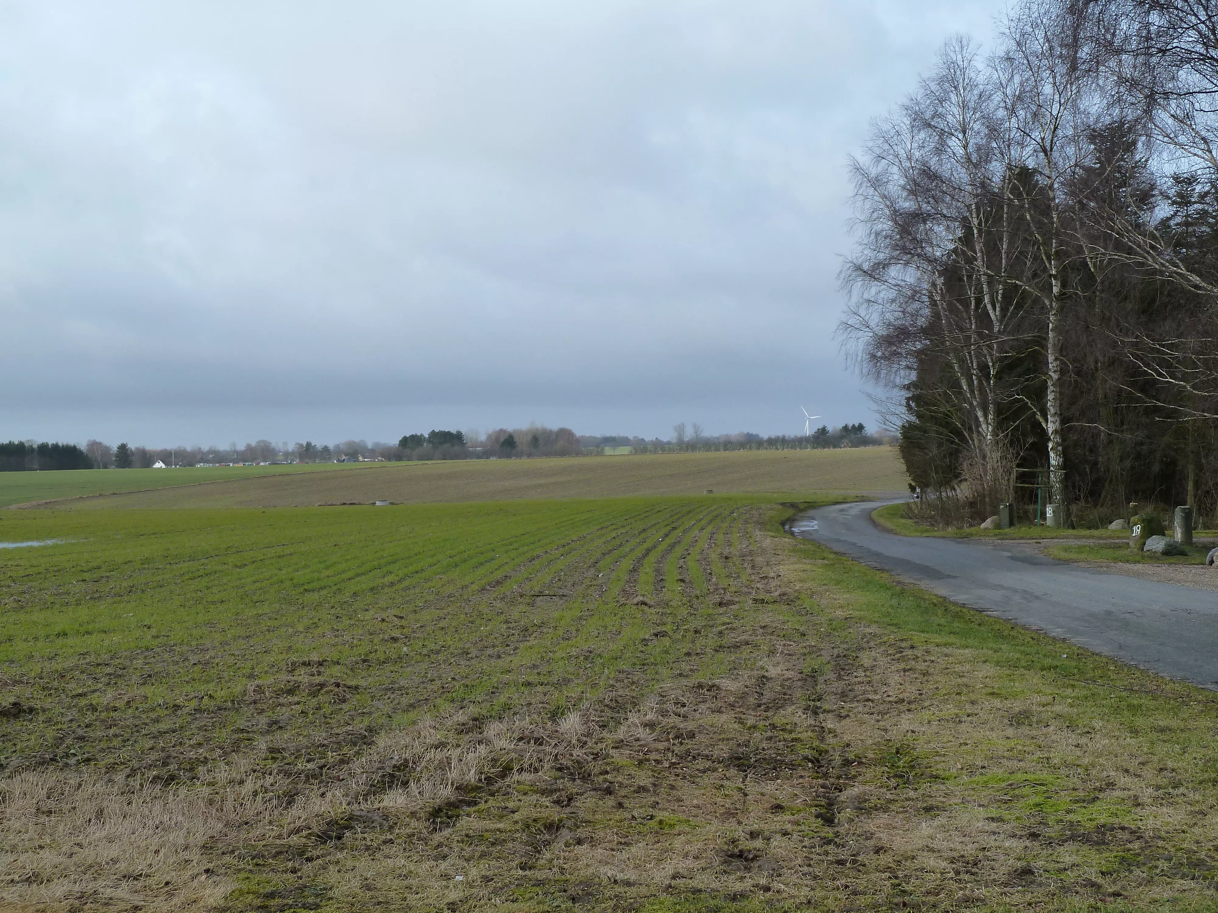 Billede af Mosevej Trinbræt - Trinbræt er nedrevet, men Mosevej Trinbræt har ligget her.