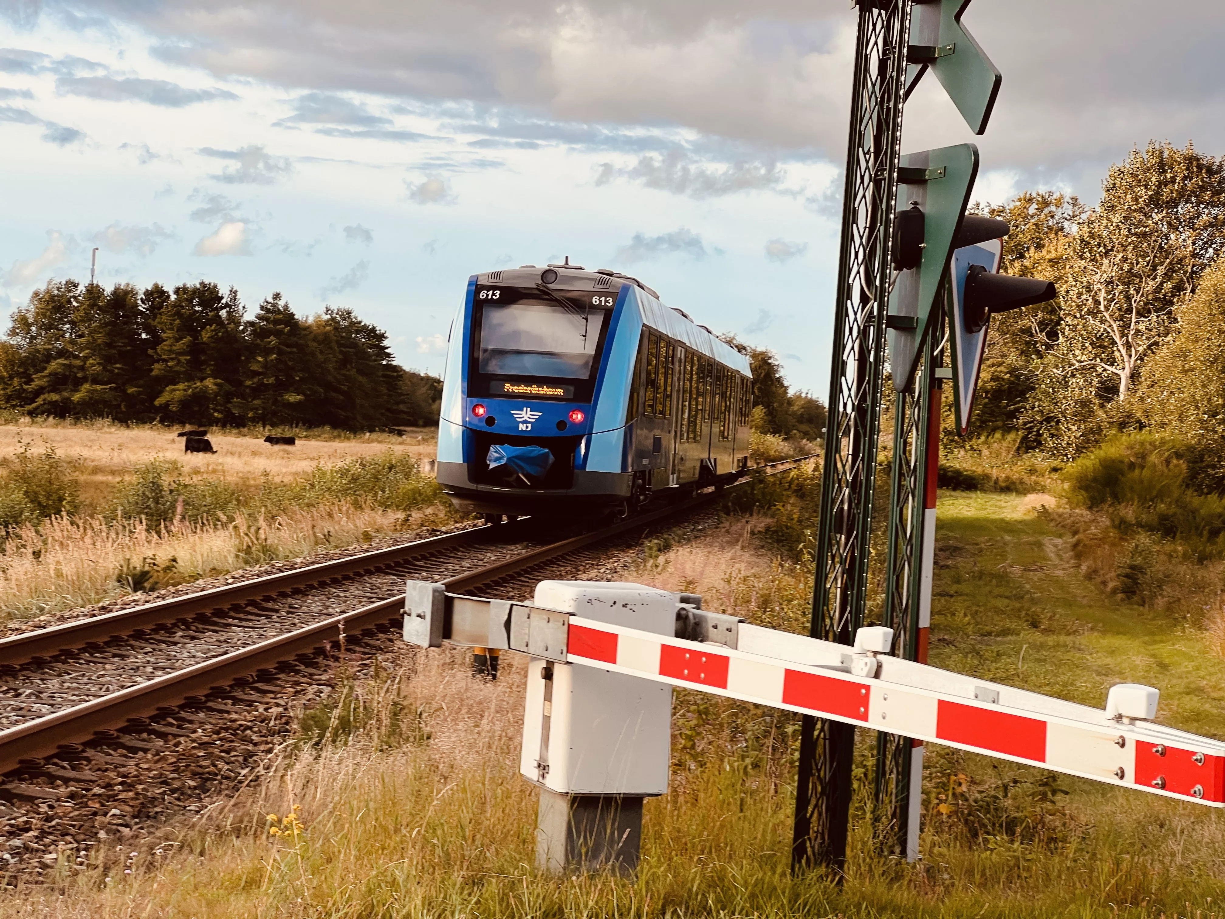 Billede af NJJ LM 613 fotograferet ud for Bunken Trinbræt.