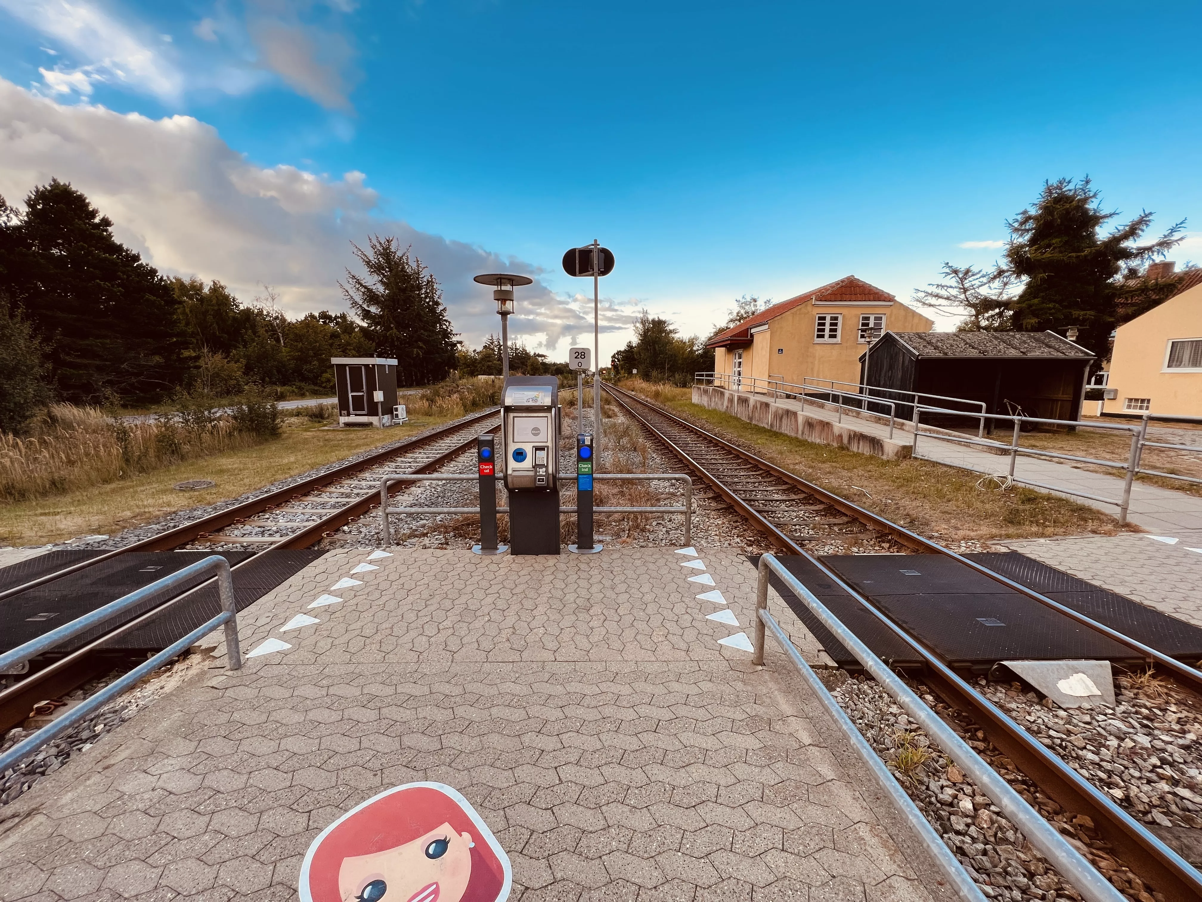 Billede af Hulsig Trinbræt. Billede af Hulsig Trinbræt.