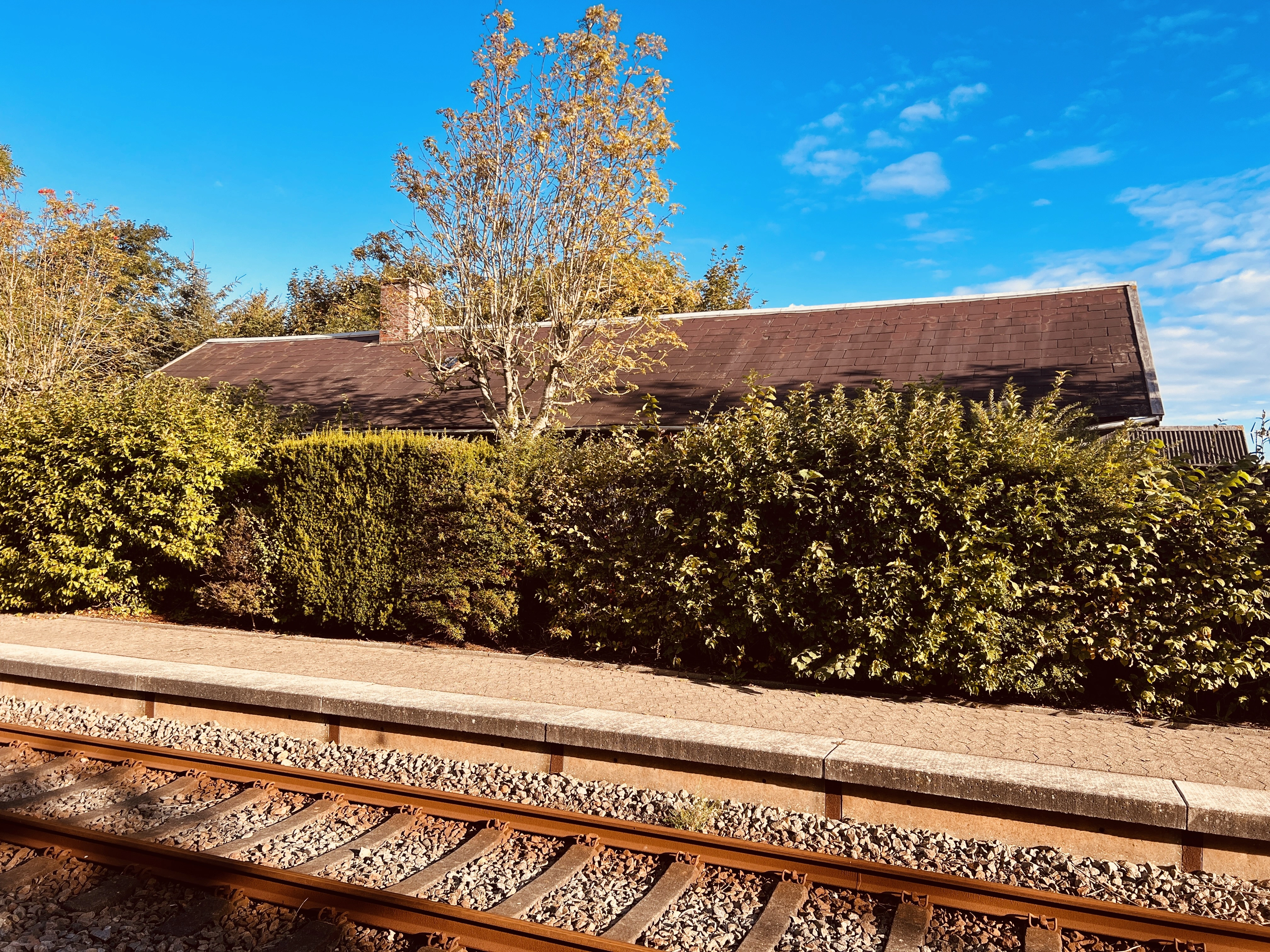 Billede af Lyngs Station. Billede af Lyngs Station.