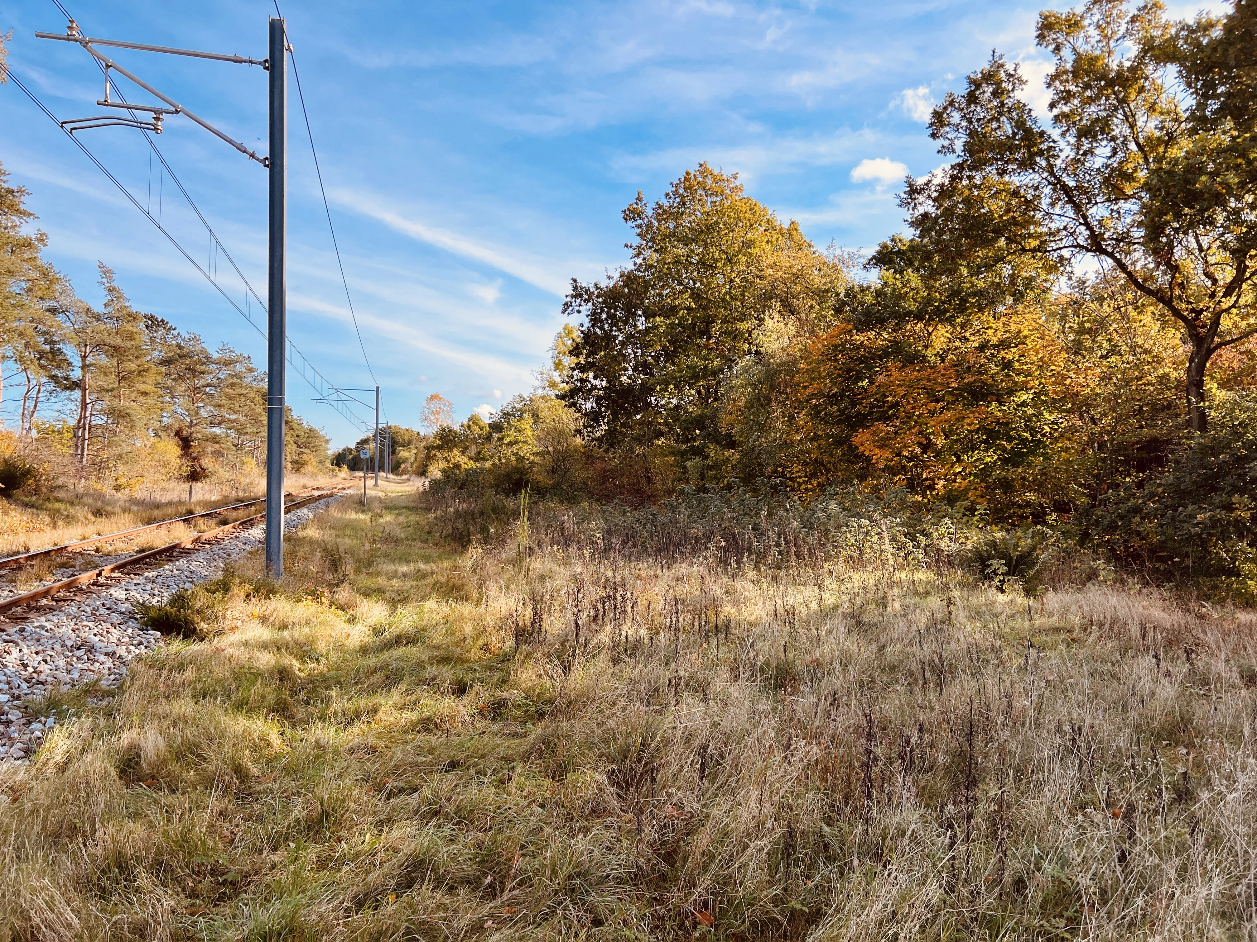 Billede af Nødager Grusgrav - sporet til Grusgrav er fjernet, men sporet til Nødager Grusgrav har ligget her.