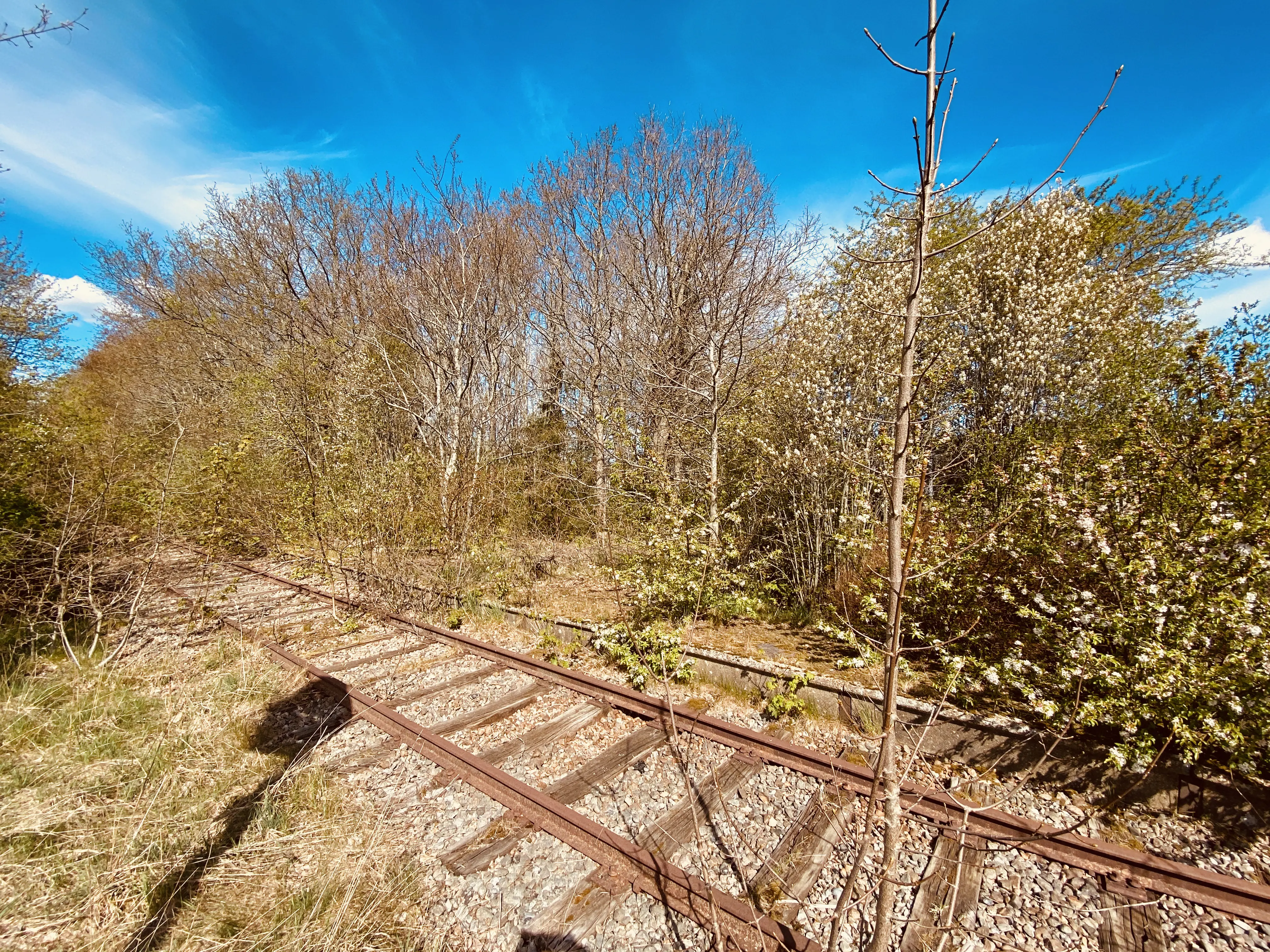 Billede af Terkelsbøl Station, som er nedrevet, men den har ligget her - perronkanten kan stadig ses.