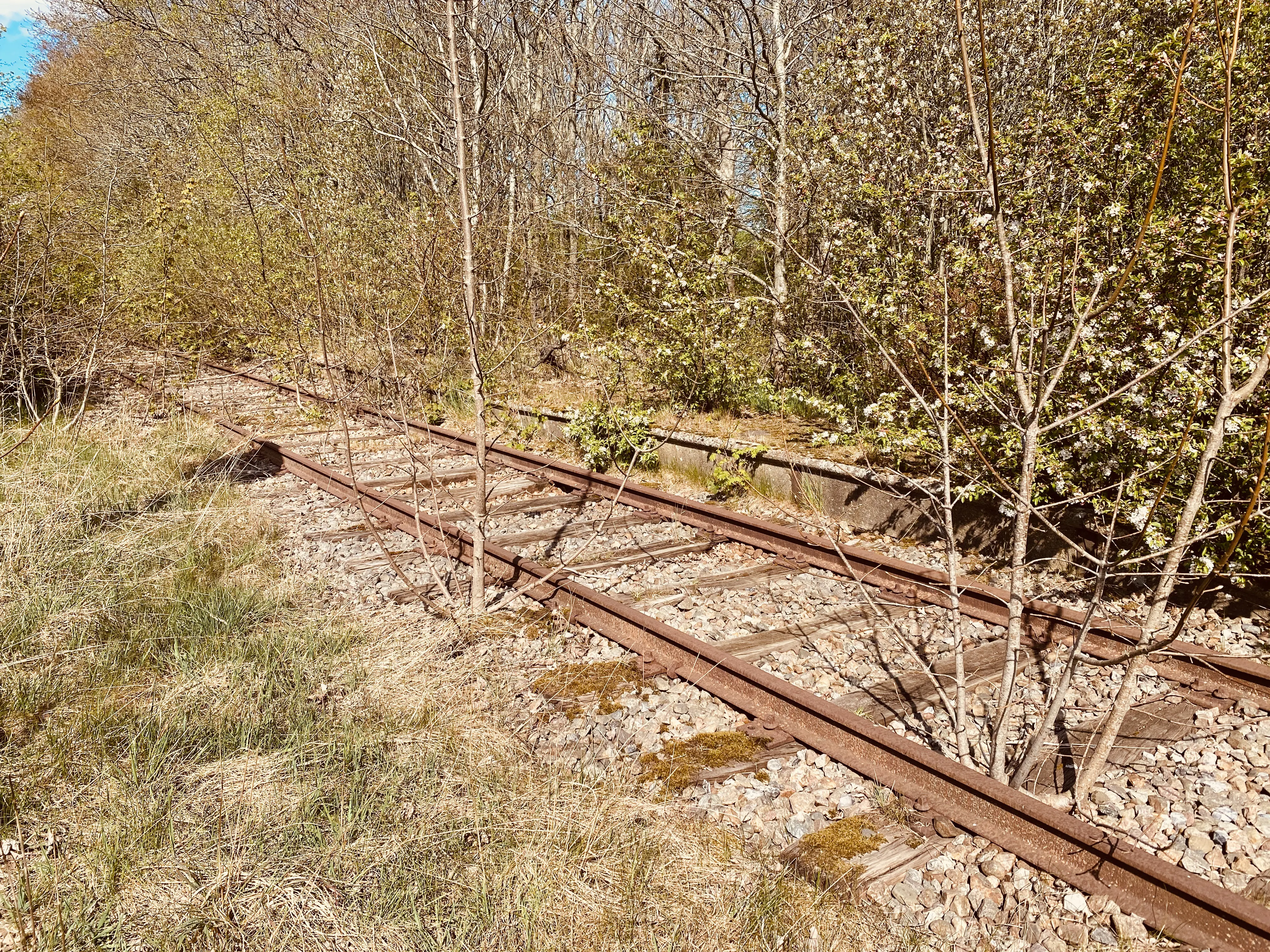 Billede af Terkelsbøl Station, som er nedrevet, men den har ligget her - perronkanten kan stadig ses.