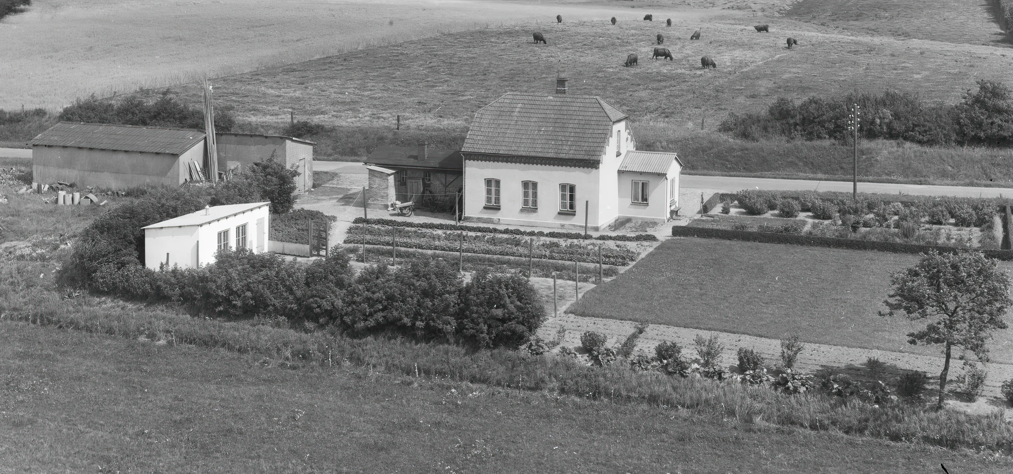 Billede af Halk Station. Billede af Halk Station.