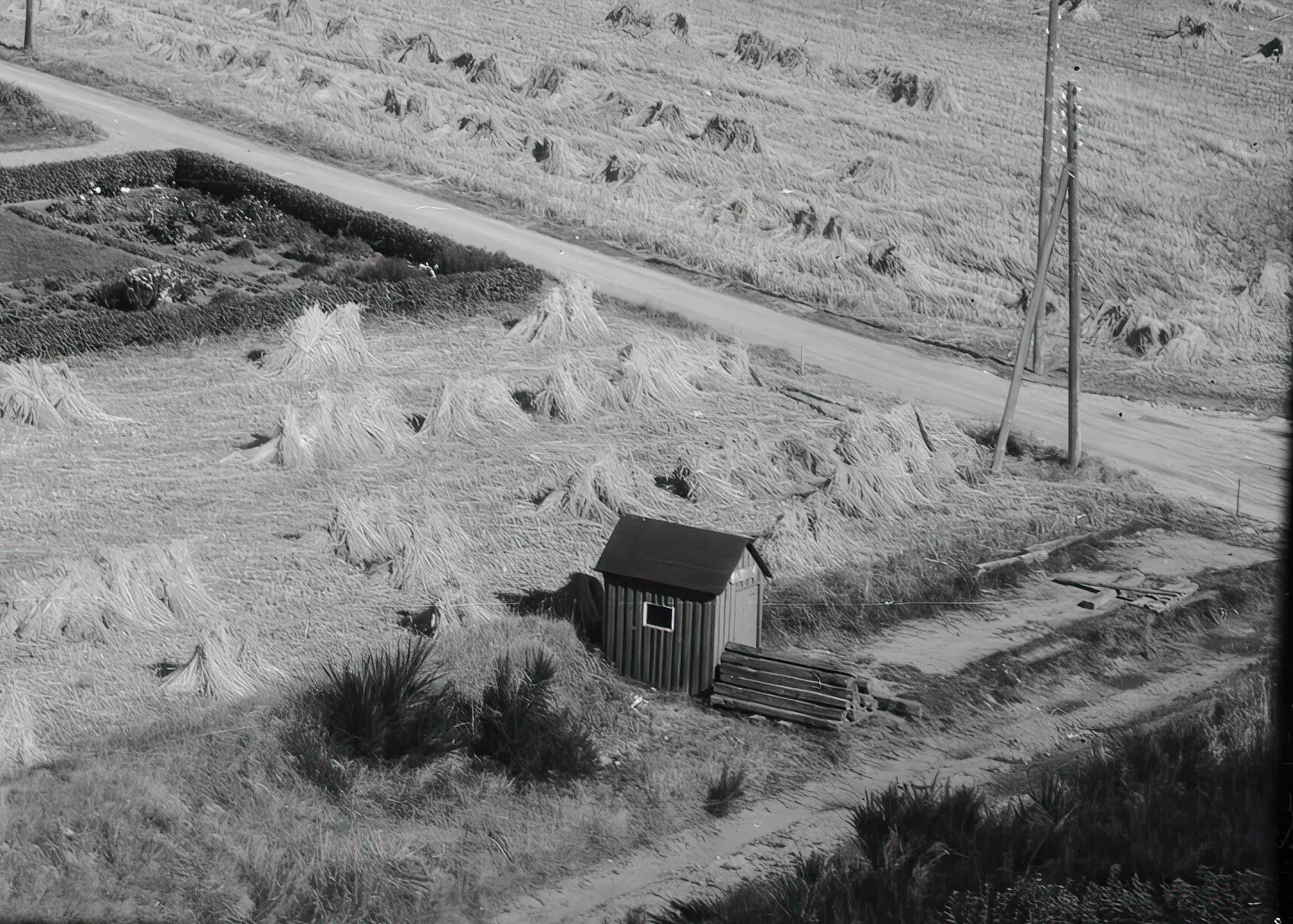 Billede af Spåbæk Trinbræt - her i 1962, hvor banen er nedlagt og skinner og sveller er ved at blive fjernet. Billede af Spåbæk Trinbræt - her i 1962, hvor banen er nedlagt og skinner og sveller er ved at blive fjernet.