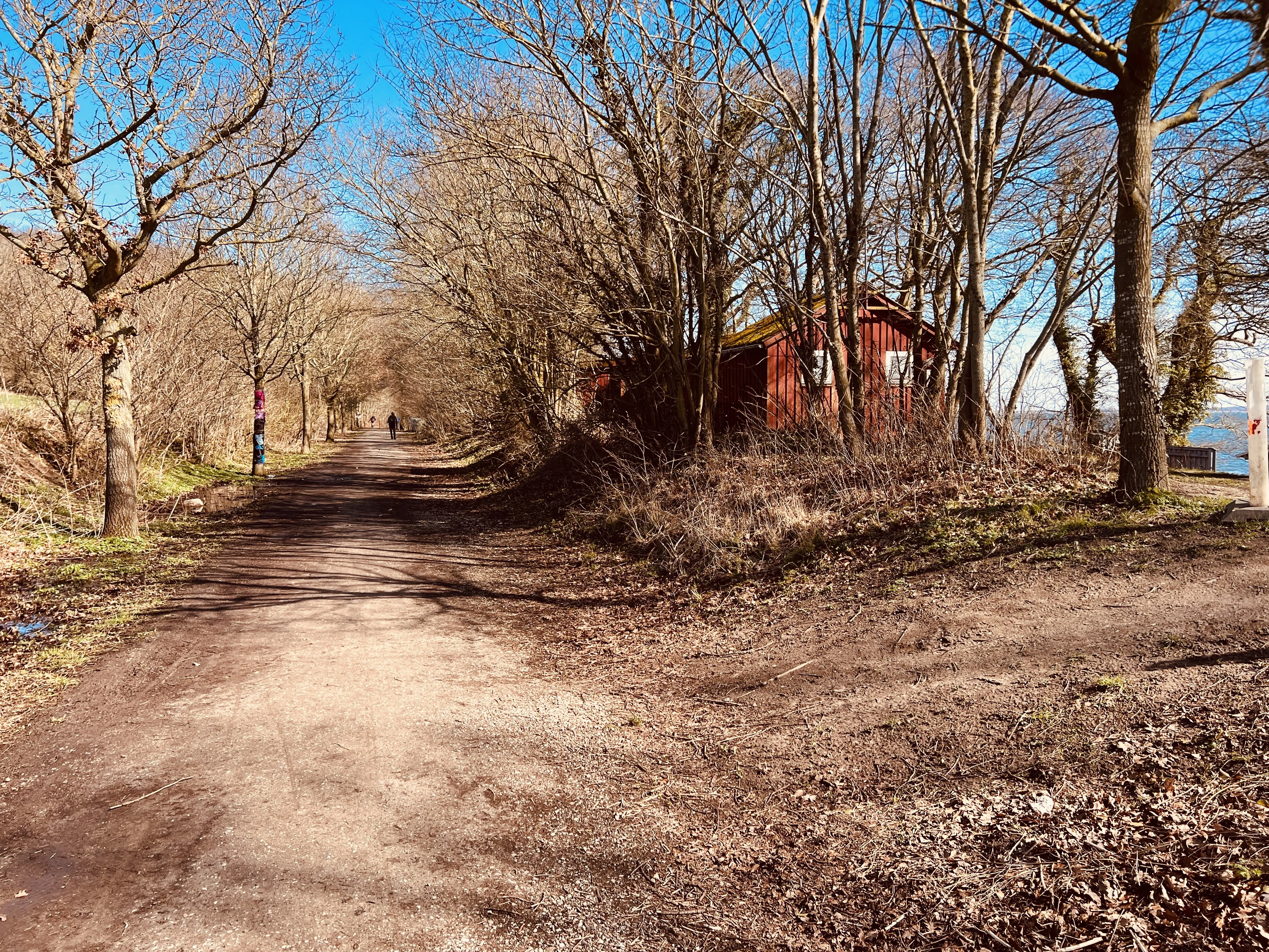 Billede af Strandskov Trinbræt - Trinbræt er nedrevet, men Strandskov Trinbræt har ligget her.