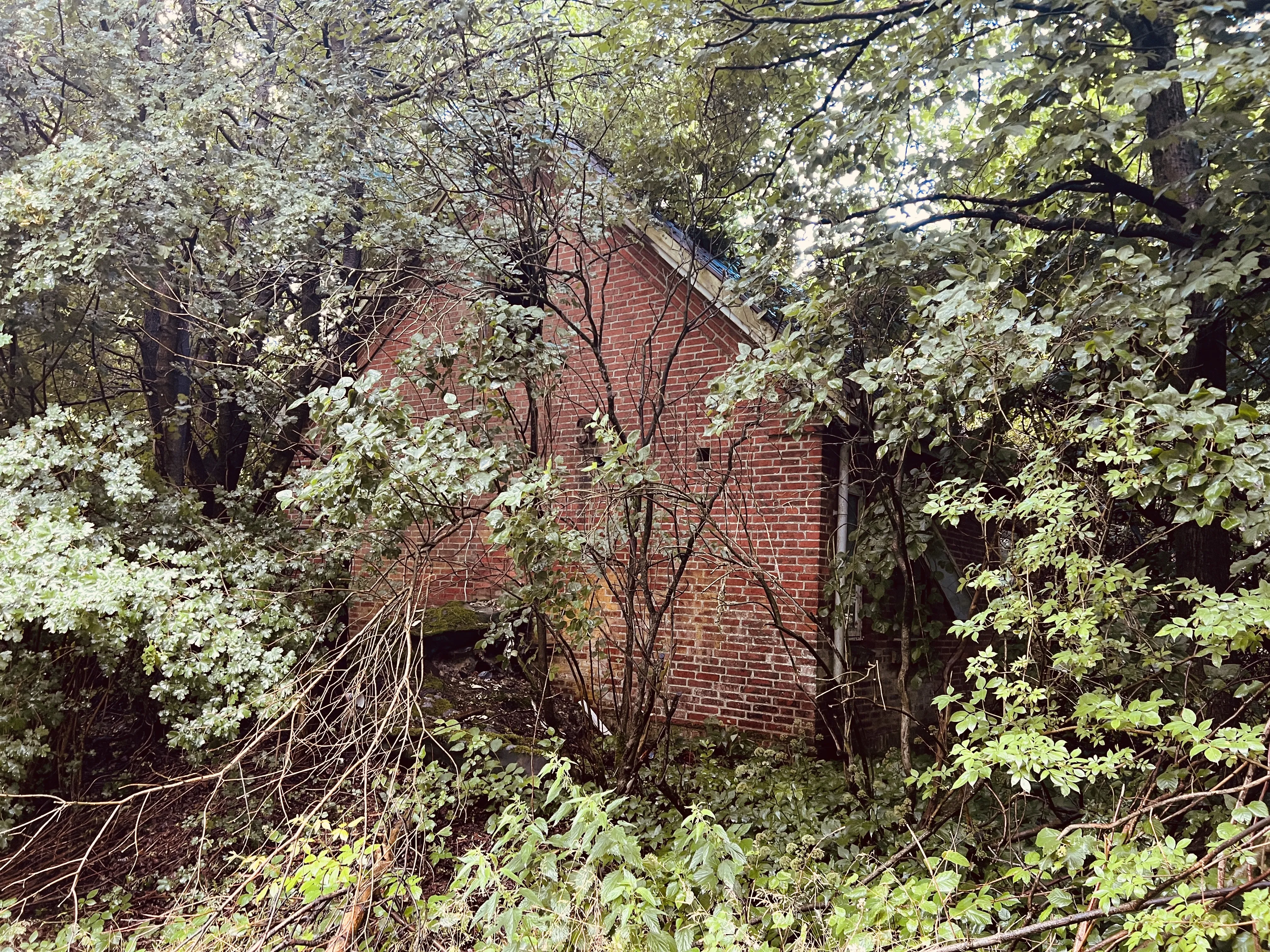 Billede af resterne af vogterhuset ved Vester Bjerndrup Trinbræt. Billede af resterne af vogterhuset ved Vester Bjerndrup Trinbræt.
