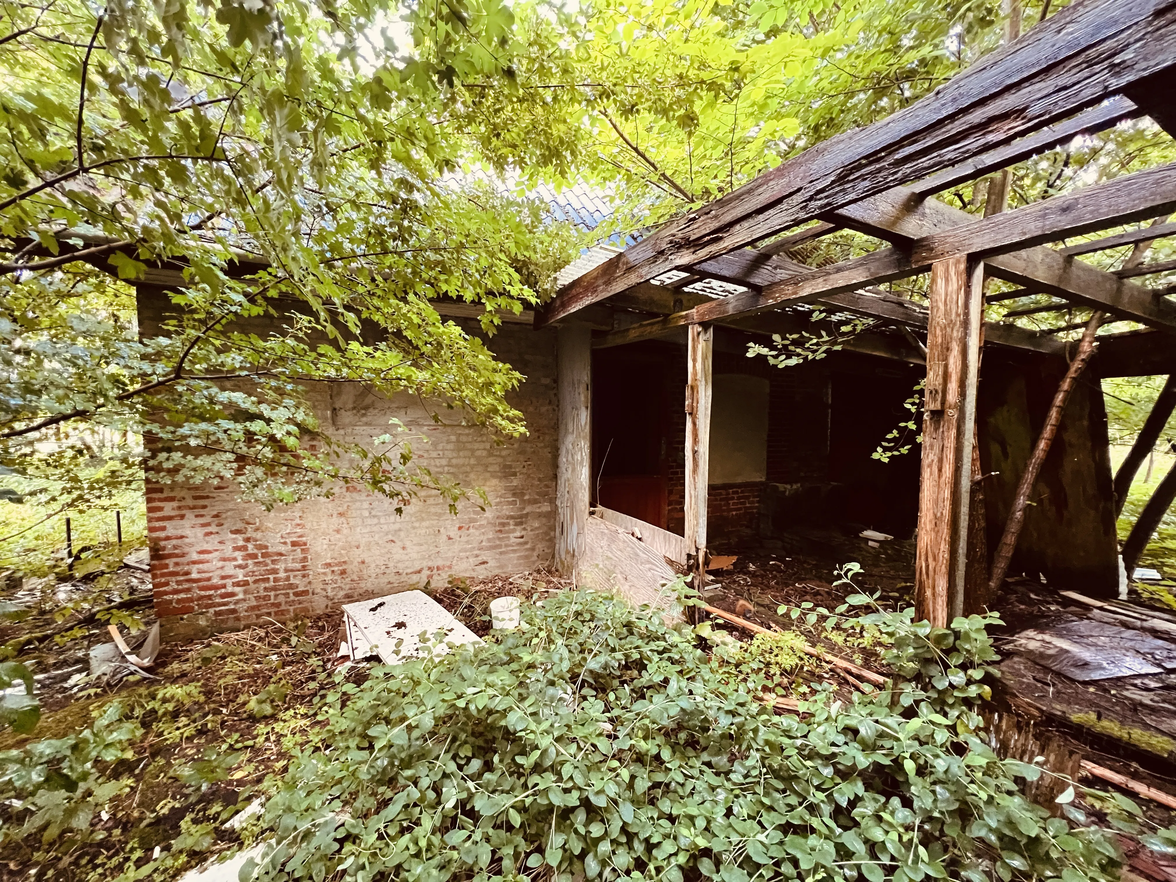 Billede af resterne af vogterhuset ved Vester Bjerndrup Trinbræt. Billede af resterne af vogterhuset ved Vester Bjerndrup Trinbræt.