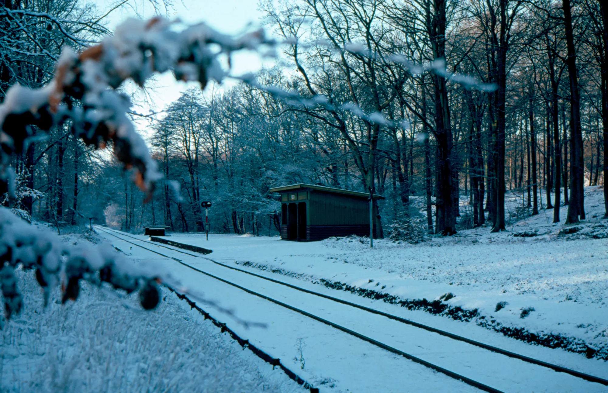 Billede af Julebæk Trinbræt.