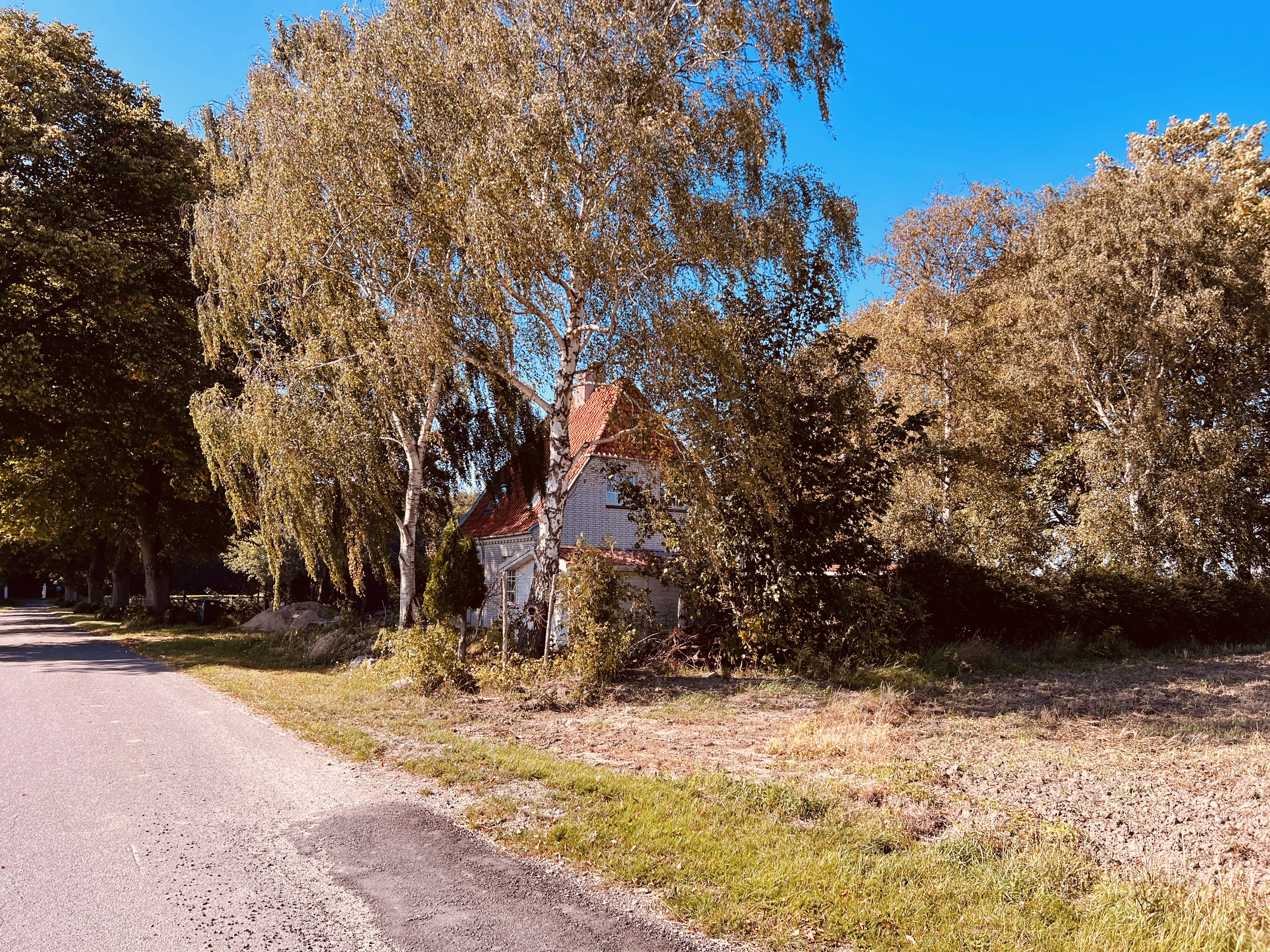 Billede af Branderslev Trinbræt (uofficielt). Billede af Branderslev Trinbræt (uofficielt).