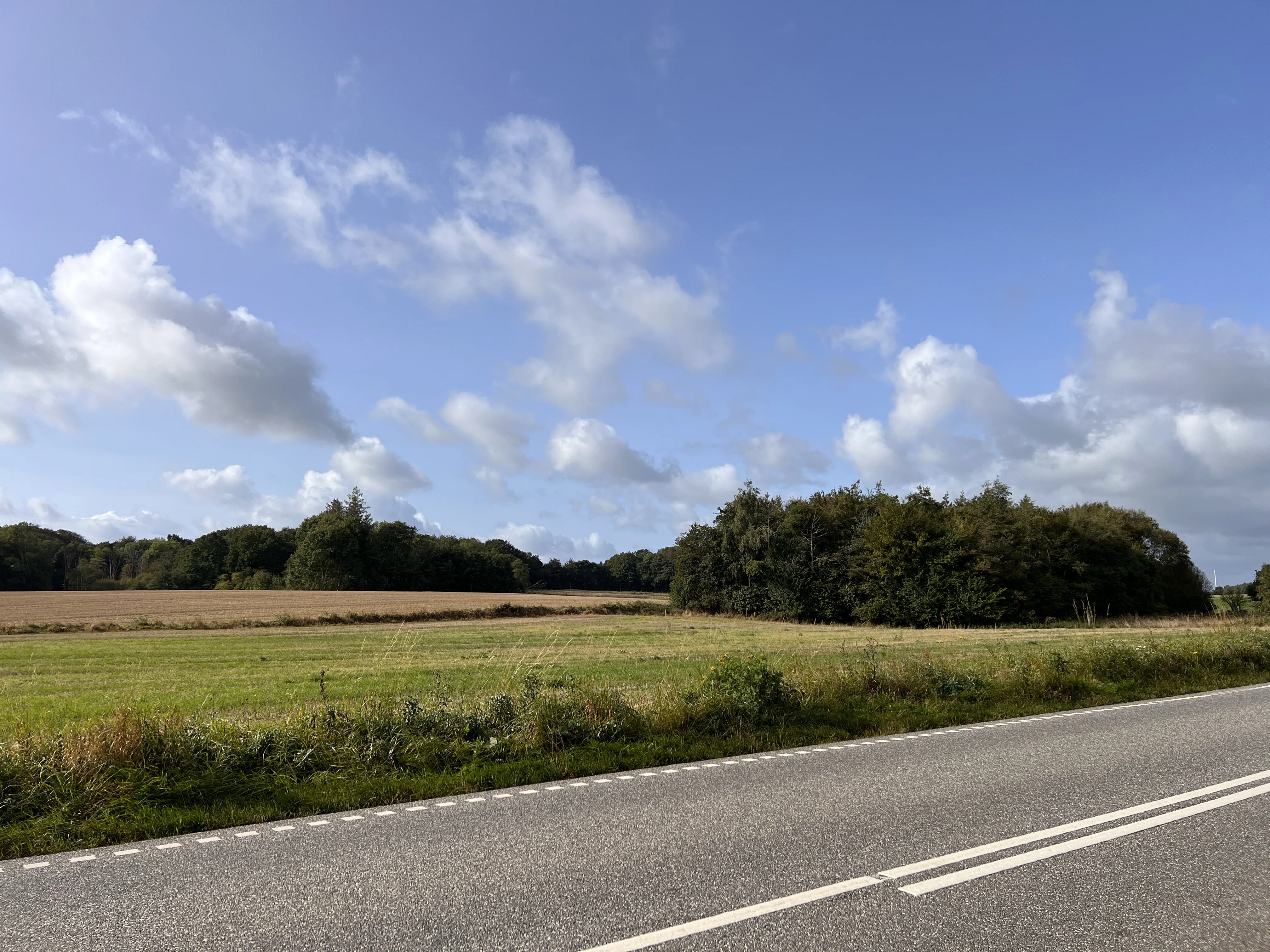 Billede af Lindved Jylland Trinbræt - Trinbræt er nedrevet, men Lindved Jylland Trinbræt har ligget her.