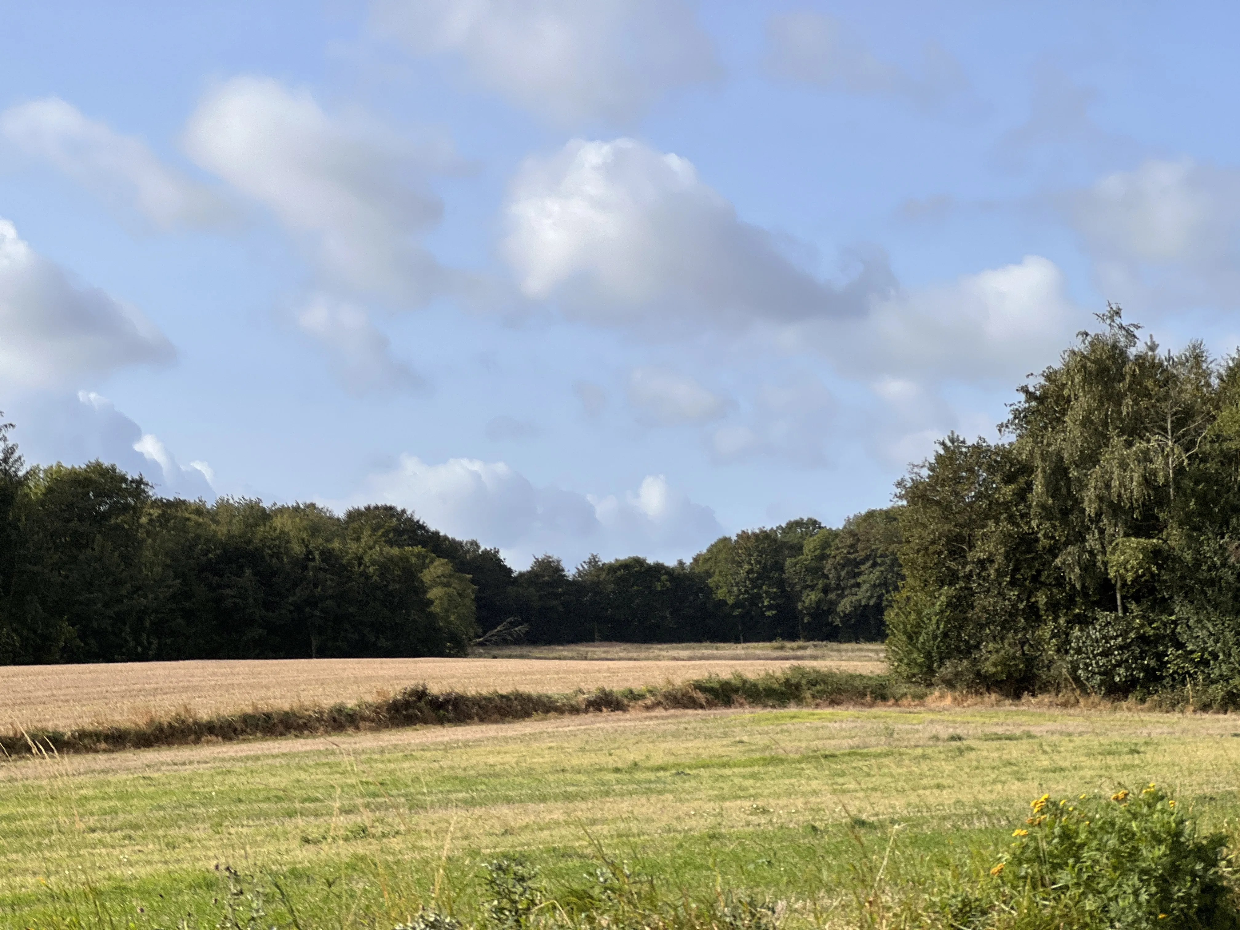 Billede af Lindved Jylland Trinbræt - Trinbræt er nedrevet, men Lindved Jylland Trinbræt har ligget her.