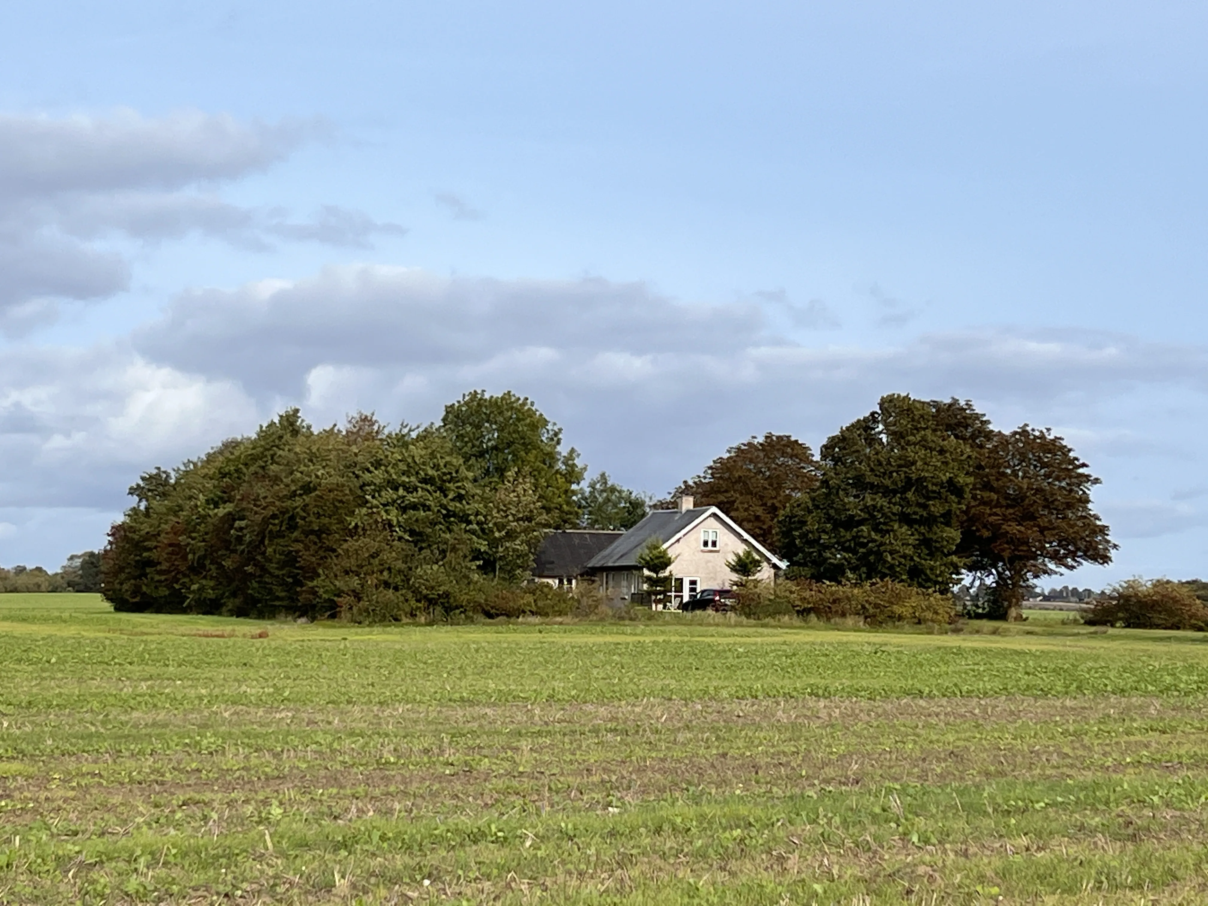 Billede af Ørnstrup Holdeplads med sidespor. Billede af Ørnstrup Holdeplads med sidespor.