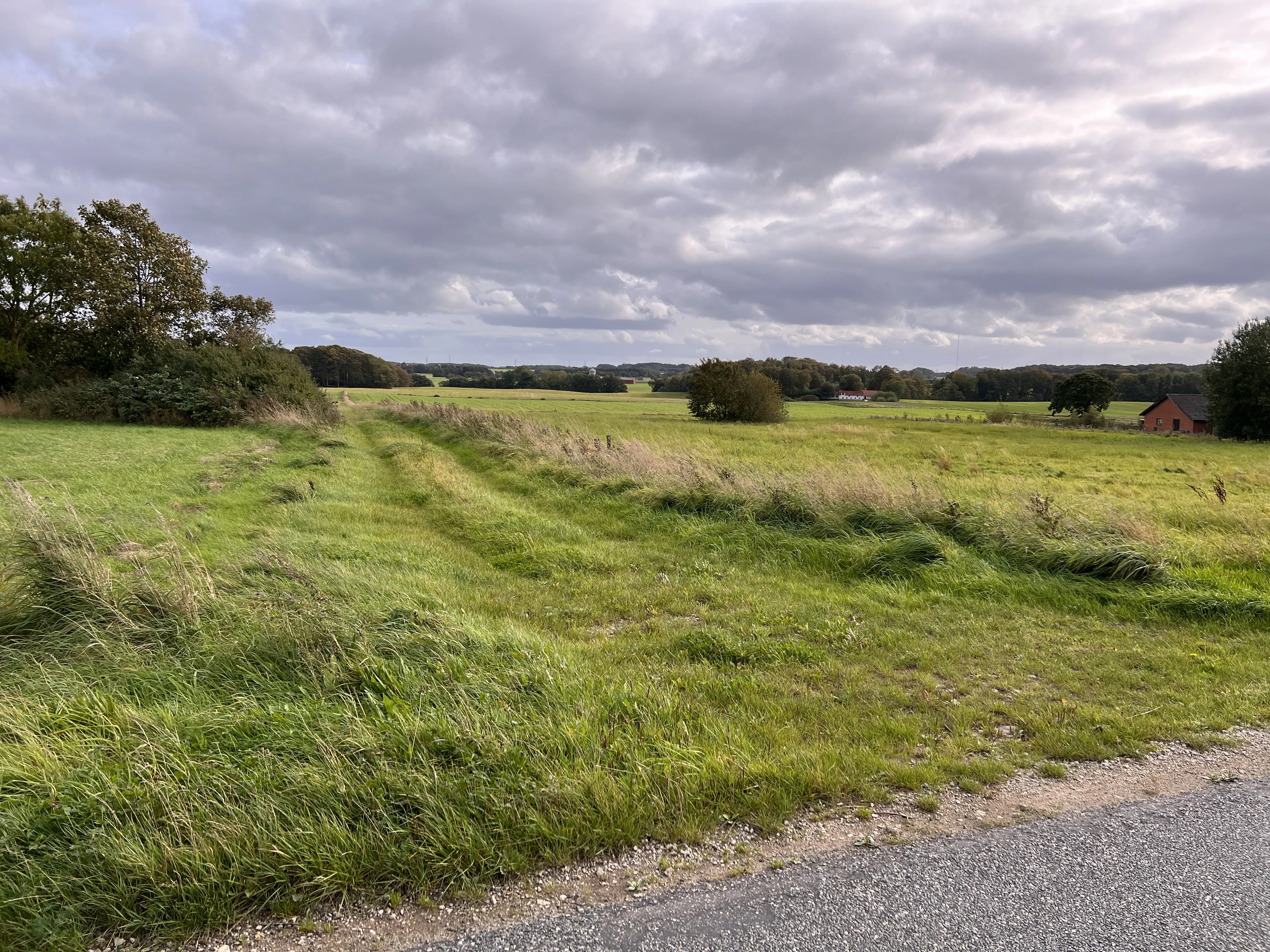 Billede af Honum Skov Trinbræt - Trinbræt er nedrevet, men Honum Skov Trinbræt har ligget her.