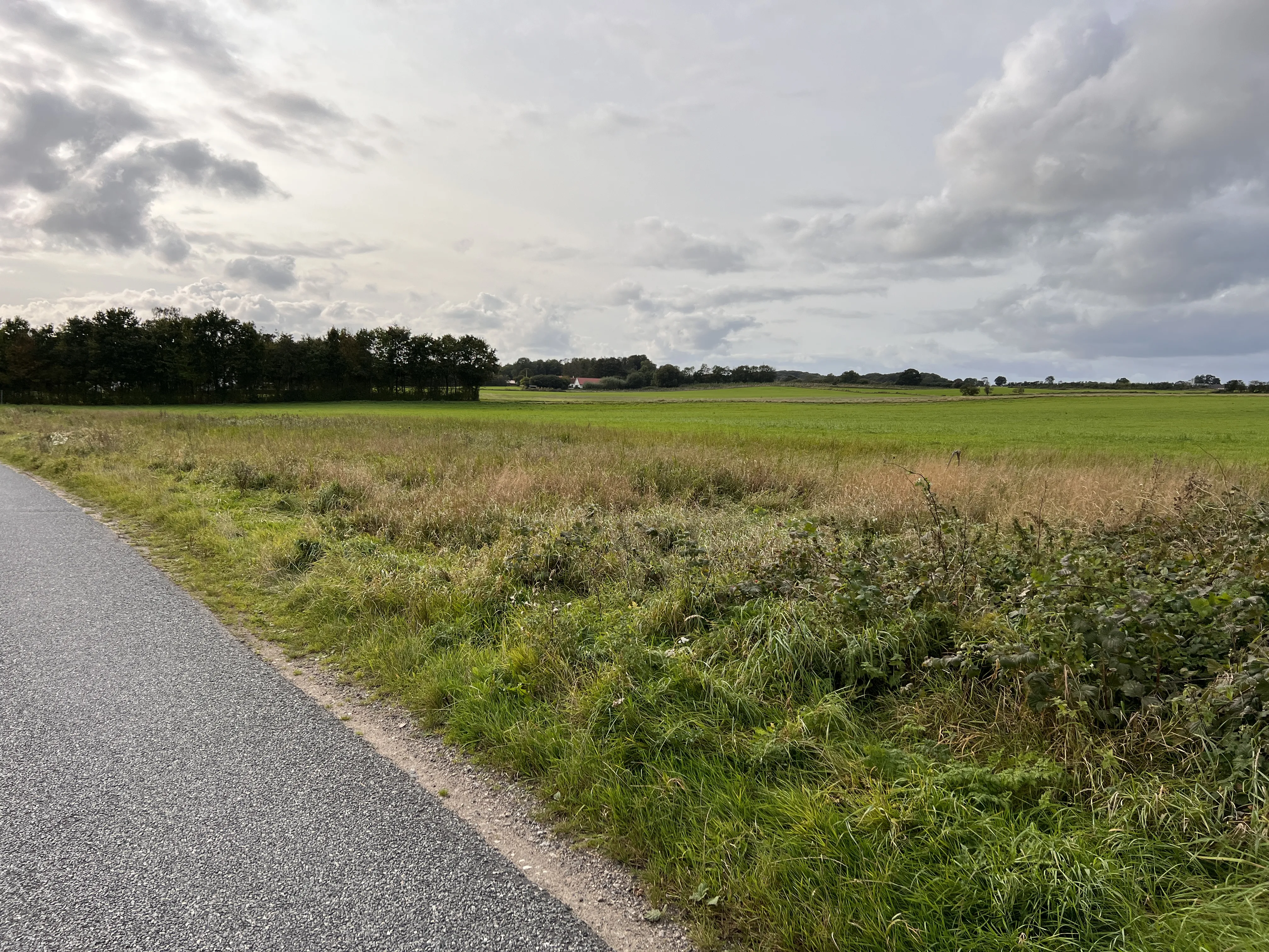 Billede af Honum Skov Trinbræt - Trinbræt er nedrevet, men Honum Skov Trinbræt har ligget her.