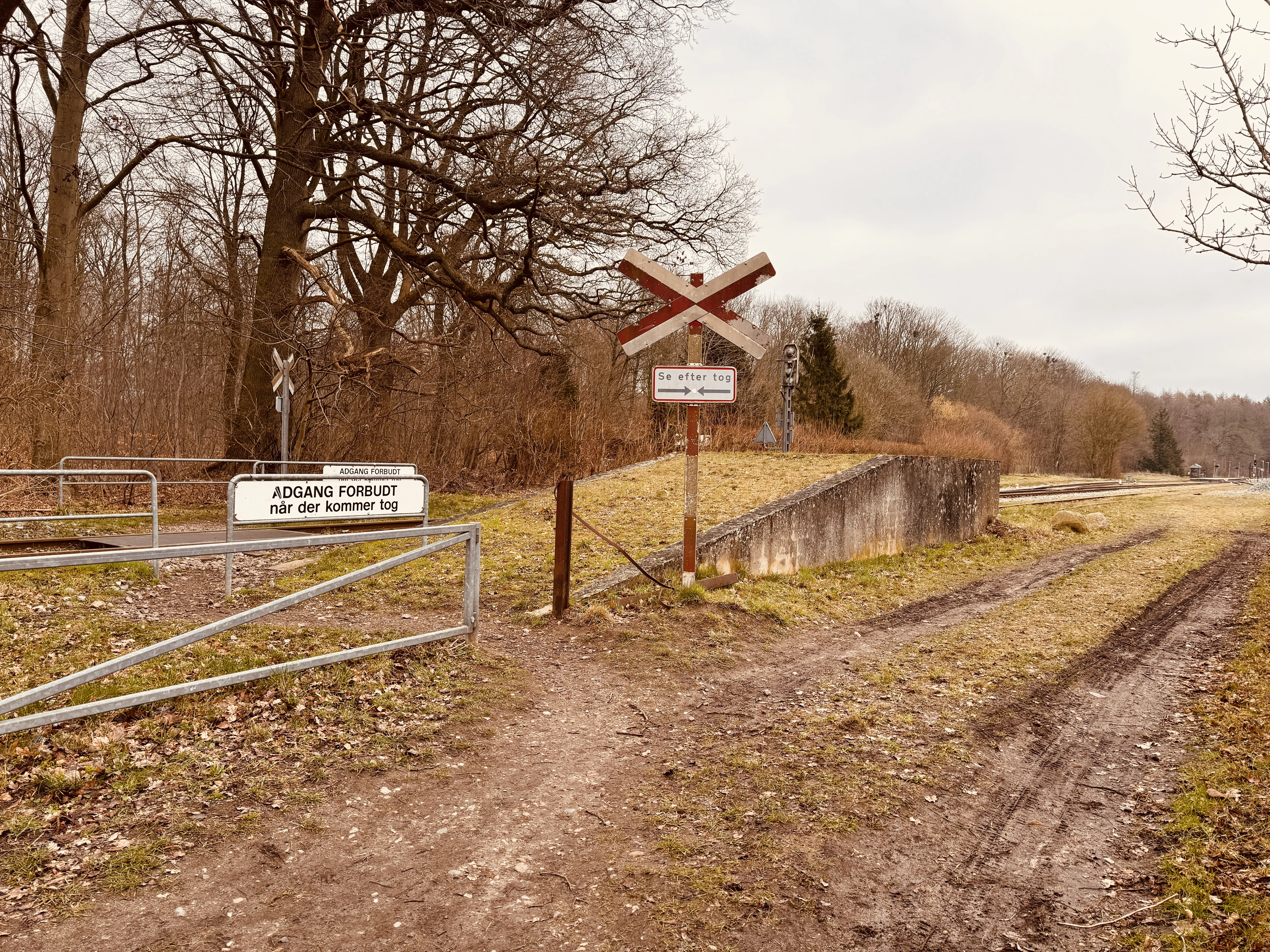 Billede af Dianalund Stations læsserampe.