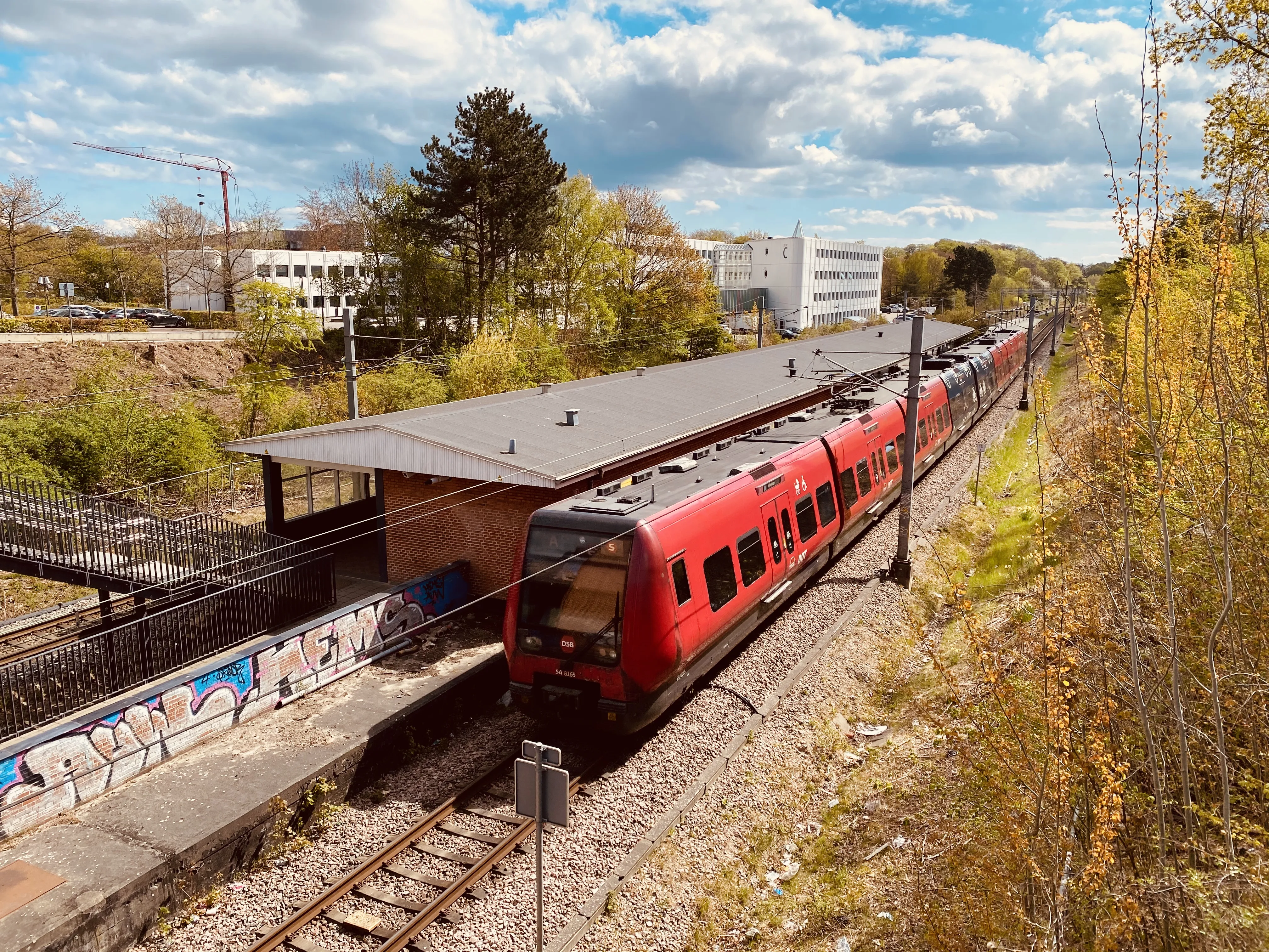 Billede af DSB SA 8165 fotograferet ud for Sorgenfri S-togstrinbræt. Billede af DSB SA 8165 fotograferet ud for Sorgenfri S-togstrinbræt.