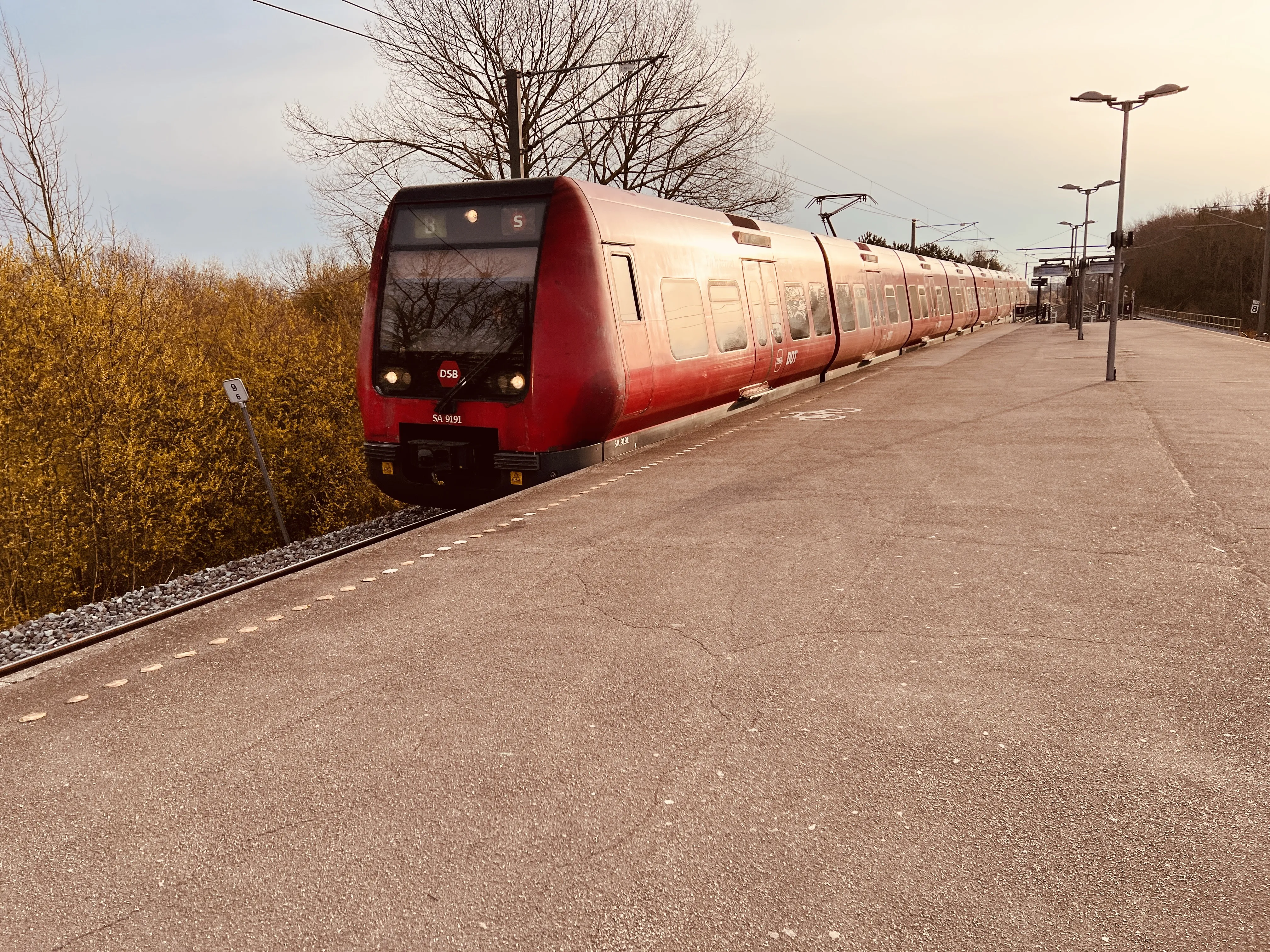 Billede af DSB SA 8191 fotograferet ud for Avedøre S-togstrinbræt. Billede af DSB SA 8191 fotograferet ud for Avedøre S-togstrinbræt.