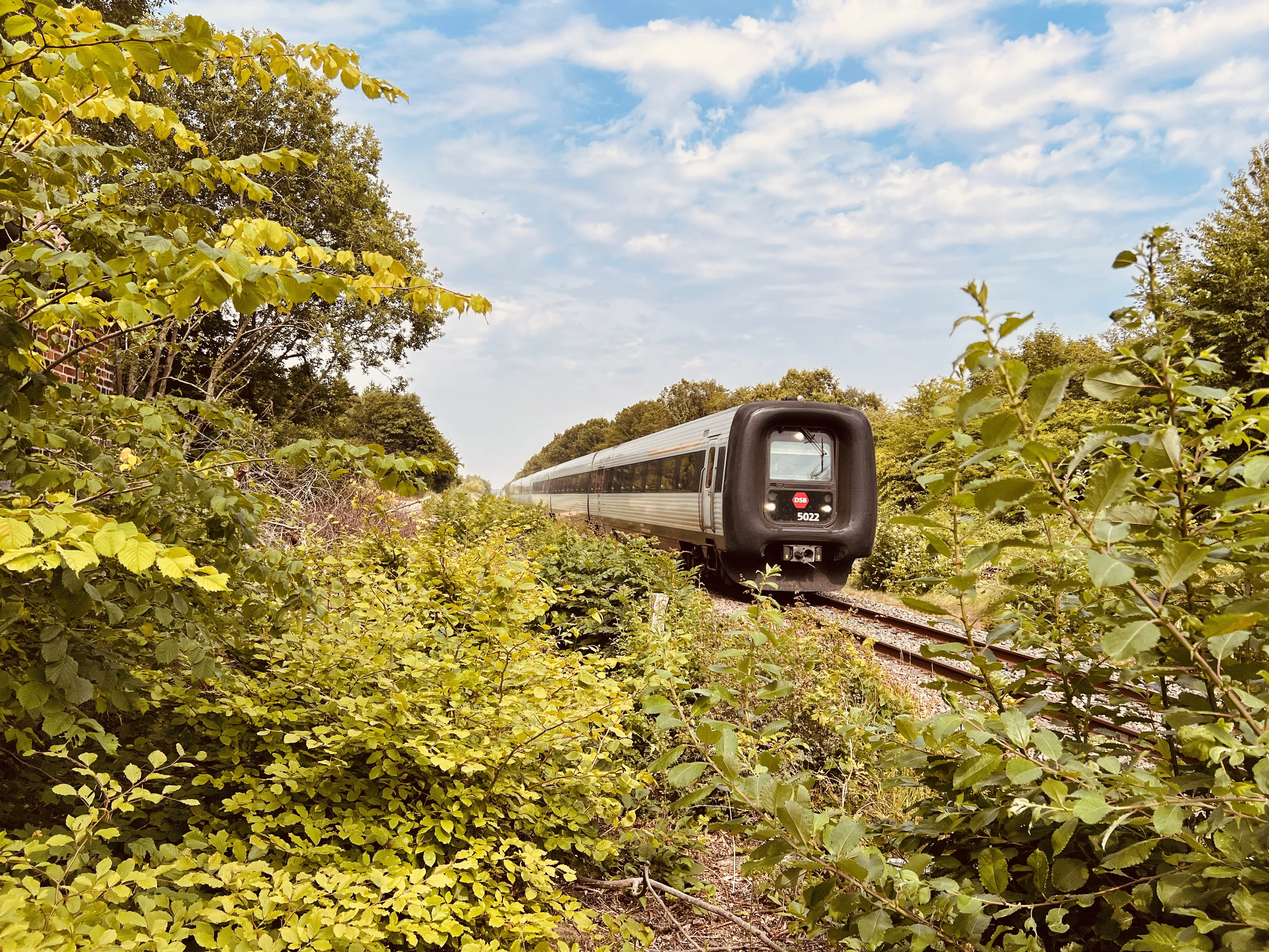 Billede af DSB MF 5022 fotograferet ud for Tvingstrup Station. Billede af DSB MF 5022 fotograferet ud for Tvingstrup Station.