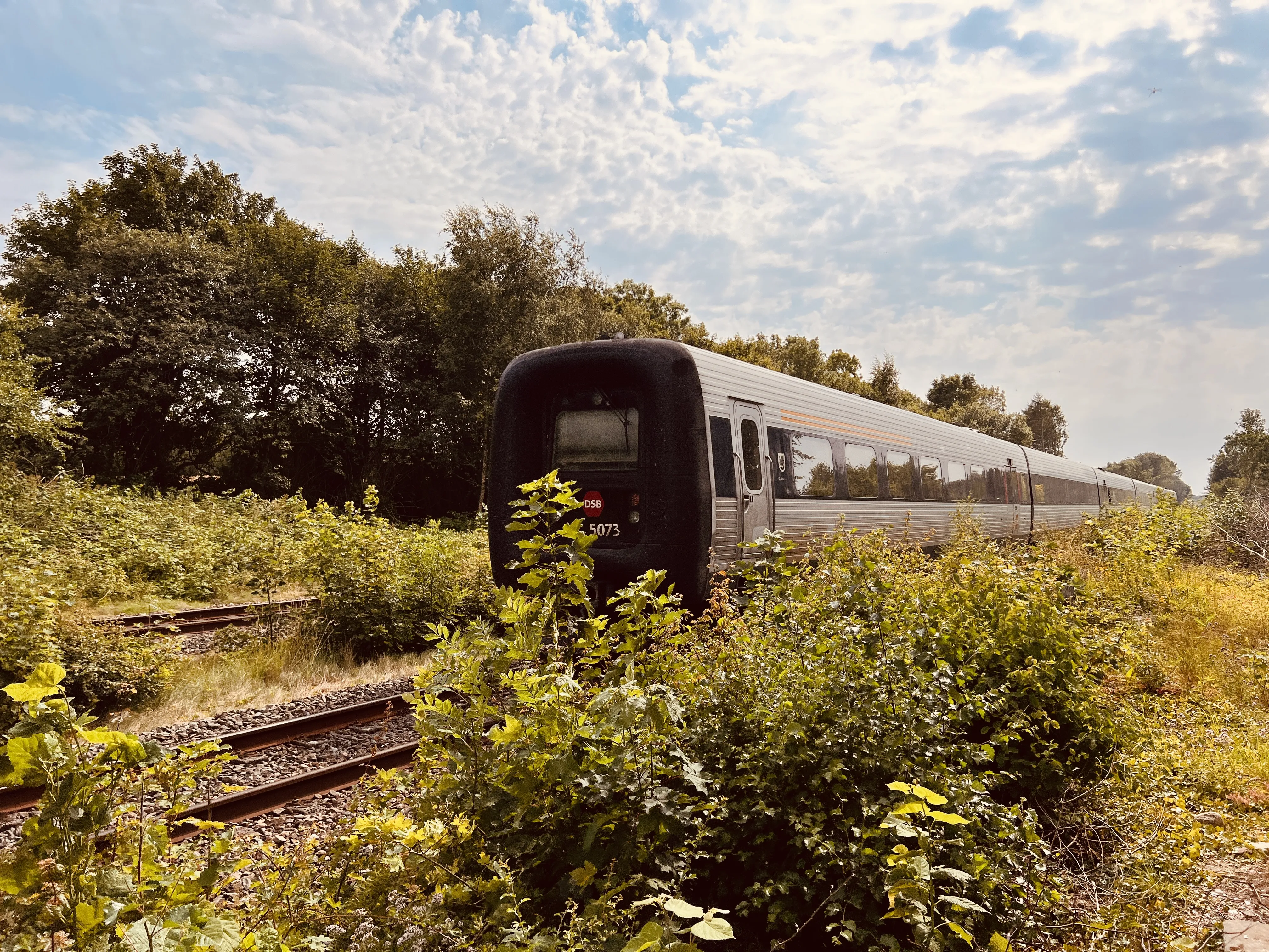 Billede af DSB MF 5073 fotograferet ud for Tvingstrup Station. Billede af DSB MF 5073 fotograferet ud for Tvingstrup Station.